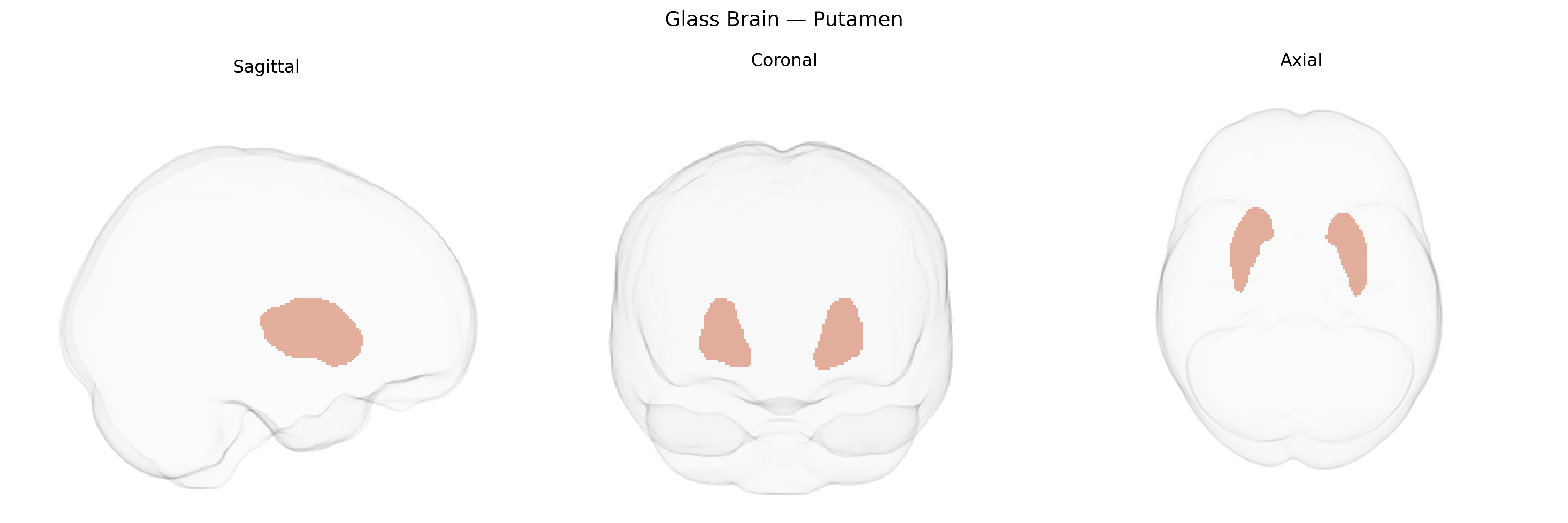 Triplanar Ghost Brain
