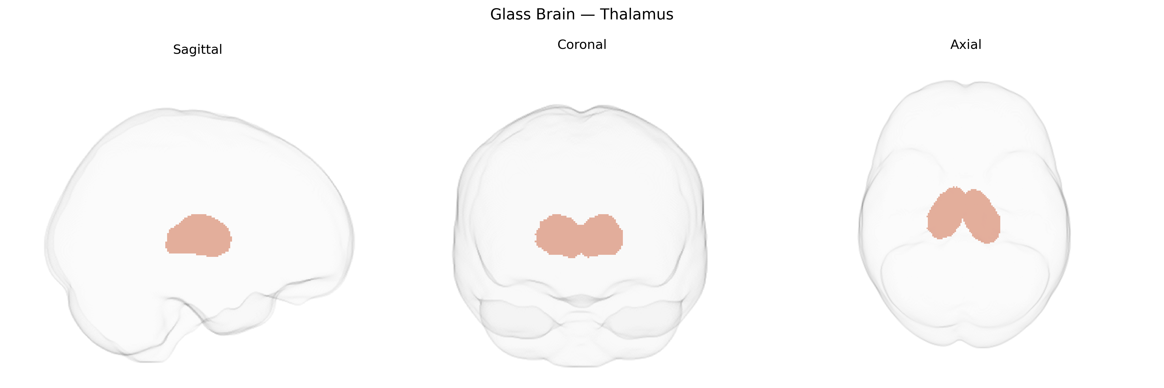 Triplanar Ghost Brain