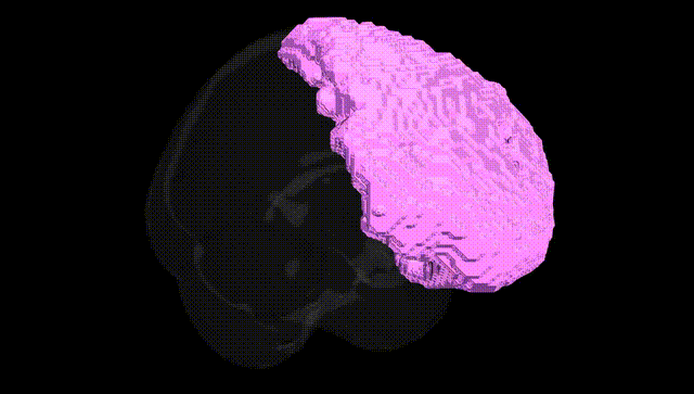 Full Brain Black
