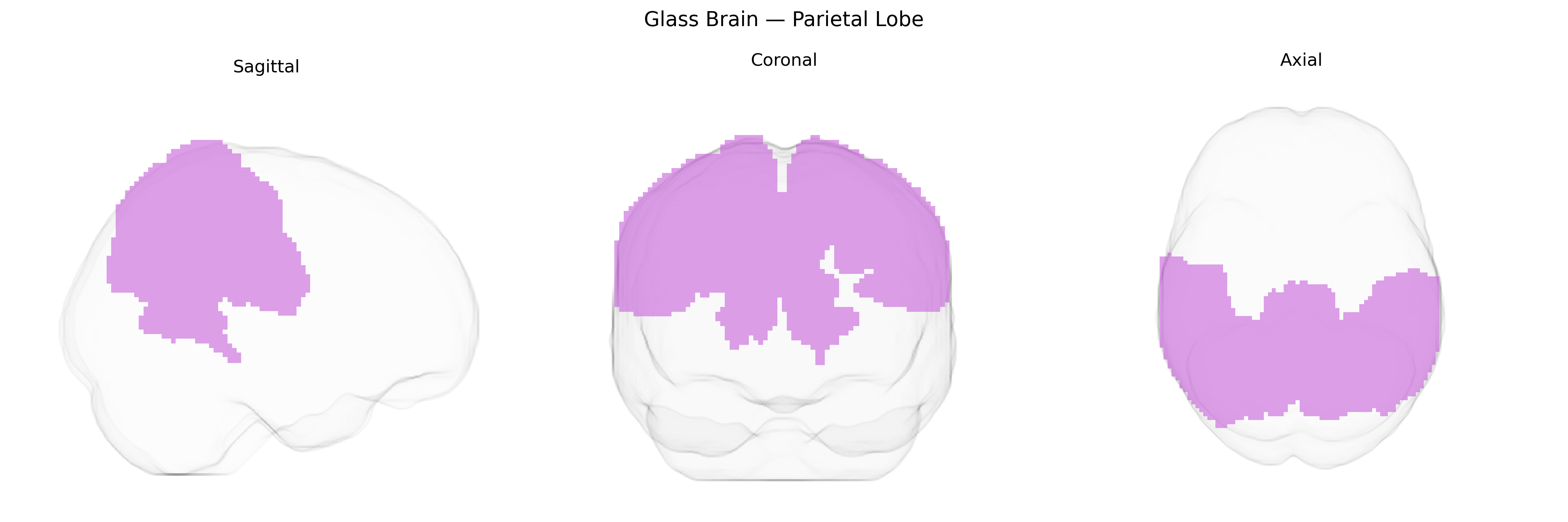 Triplanar Ghost Brain