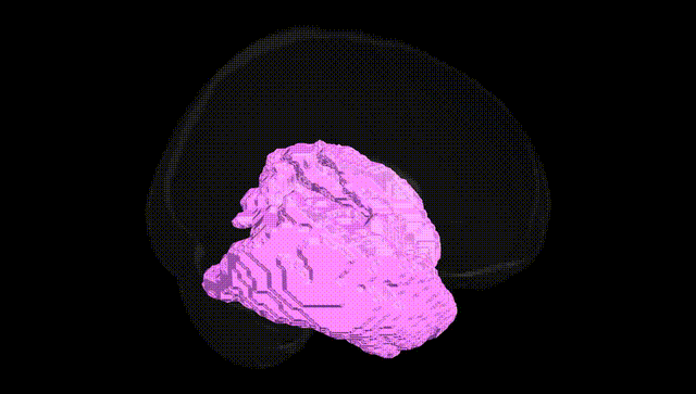 Full Brain Black