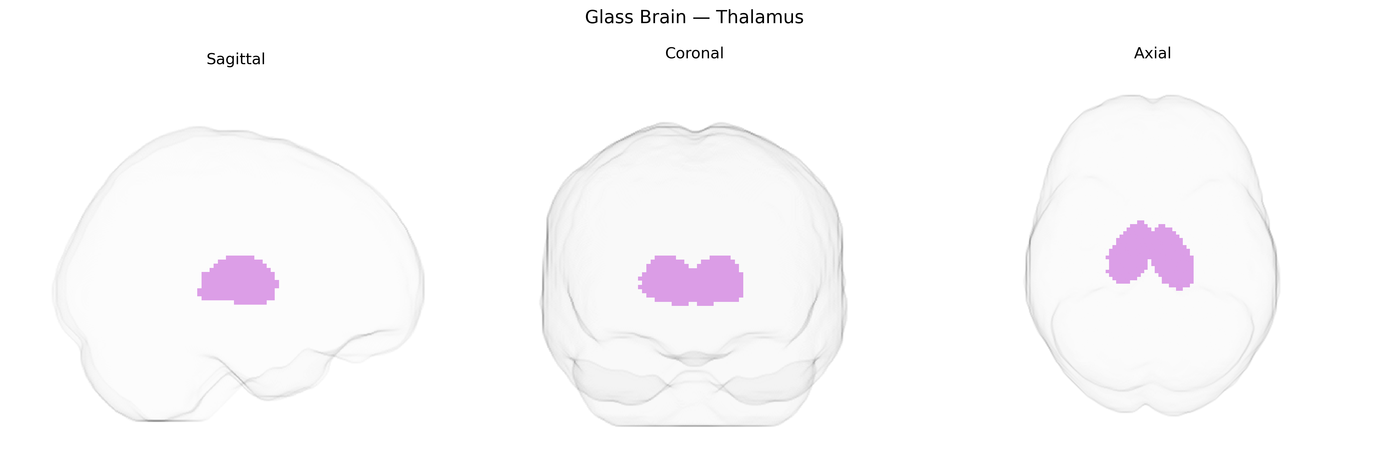 Triplanar Ghost Brain