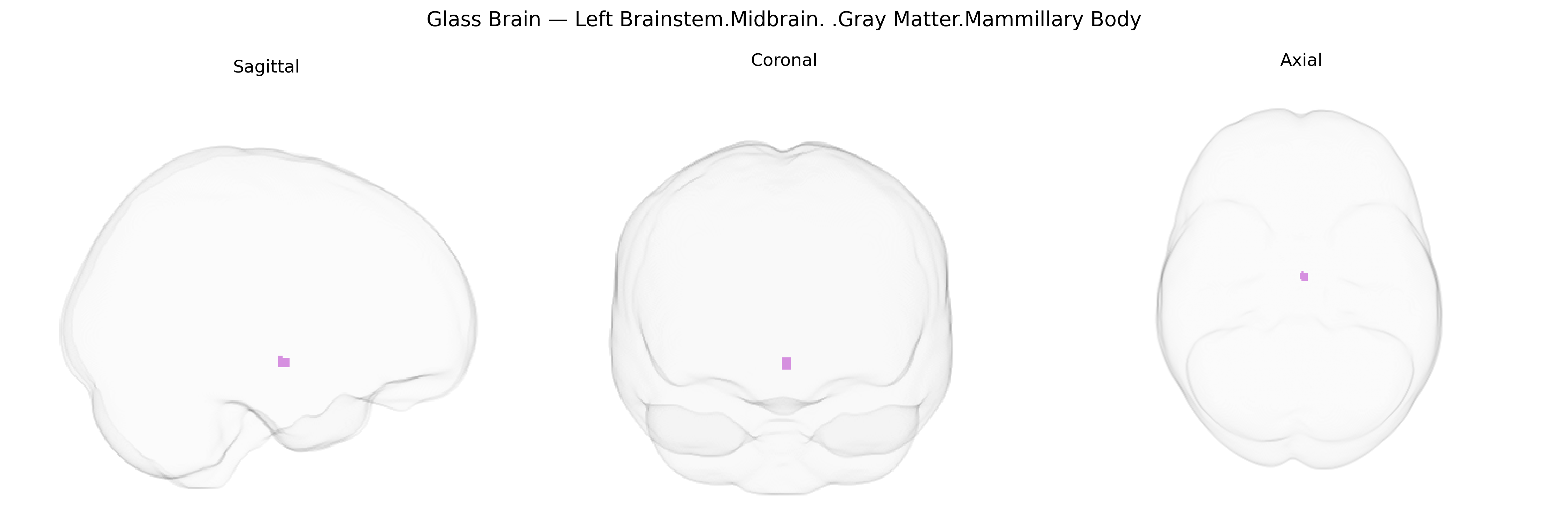 Triplanar Ghost Brain