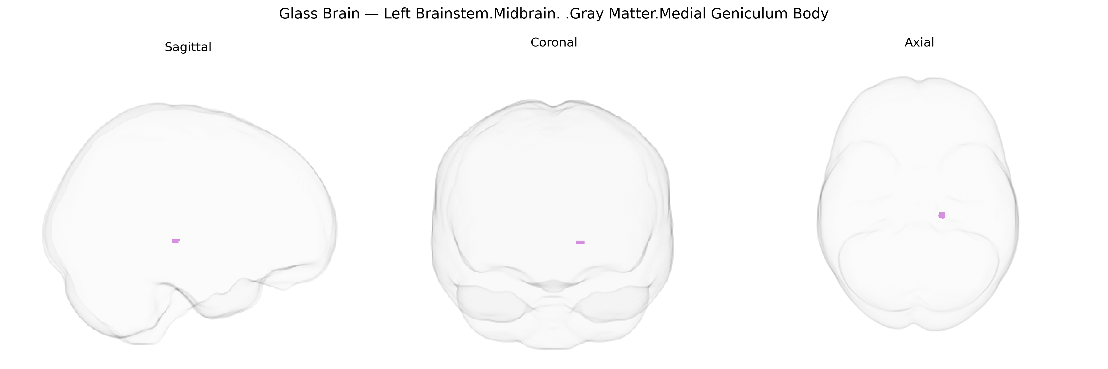 Triplanar Ghost Brain