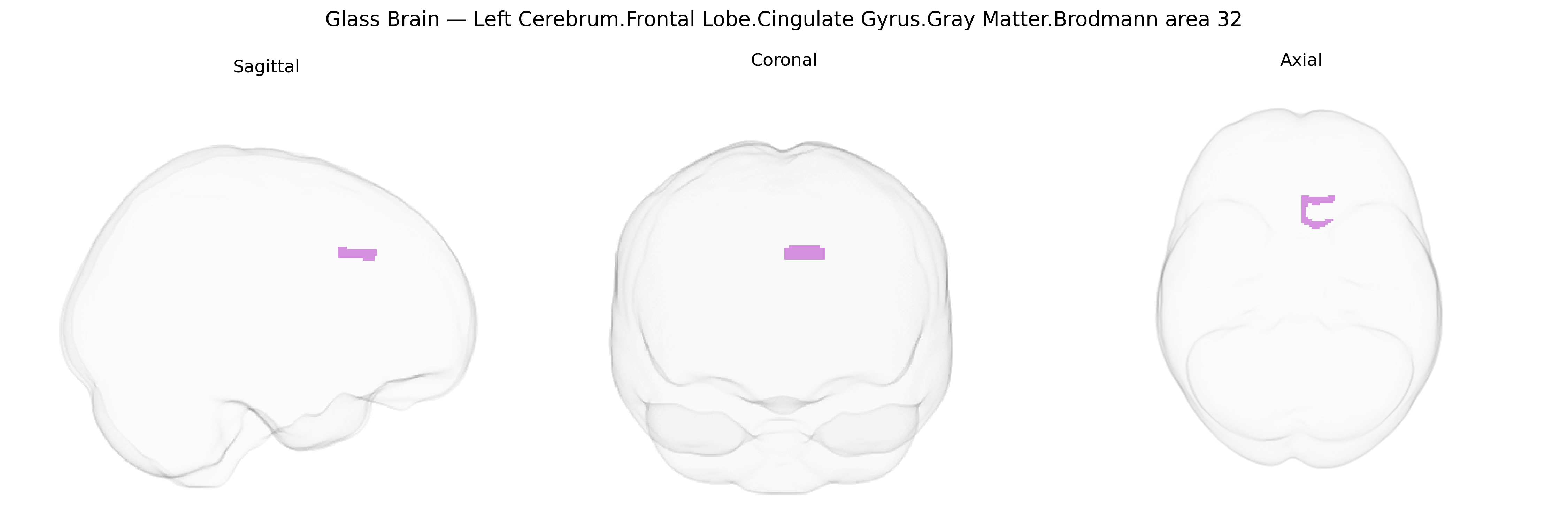 Triplanar Ghost Brain
