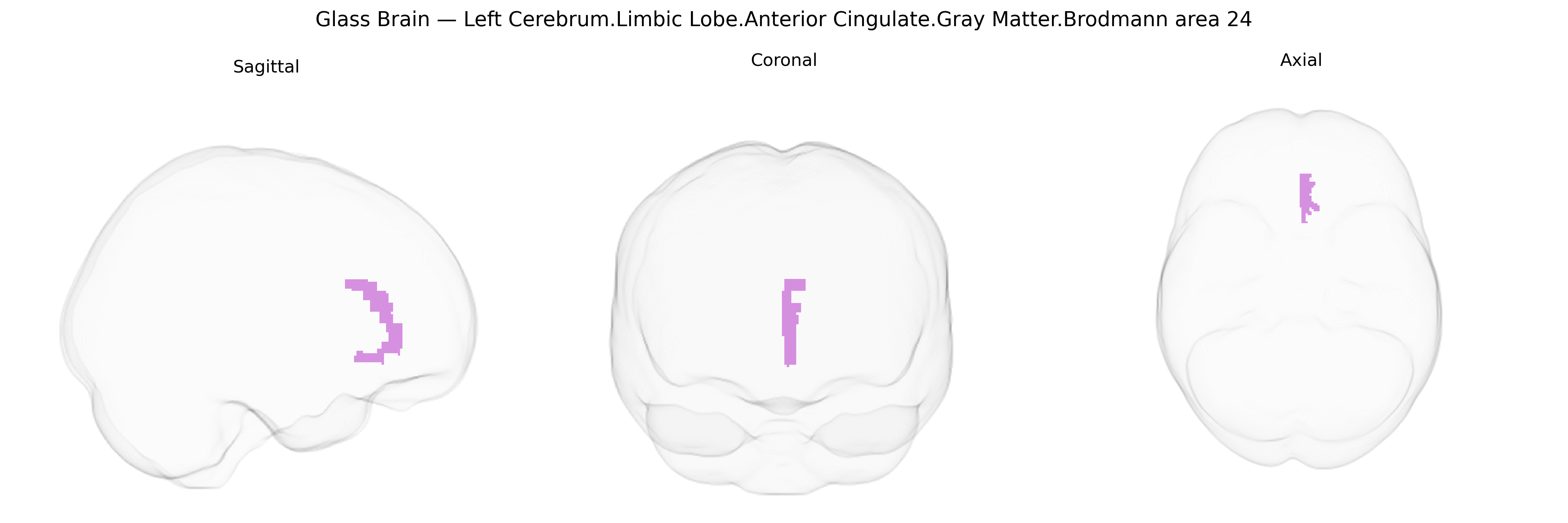 Triplanar Ghost Brain