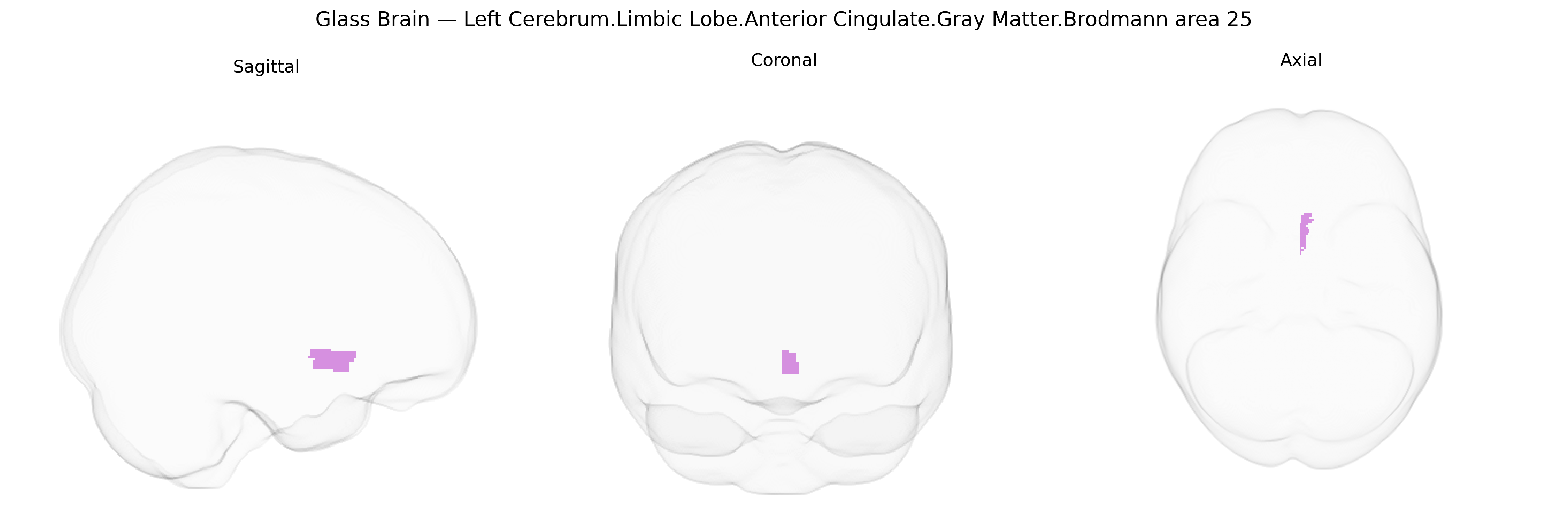 Triplanar Ghost Brain