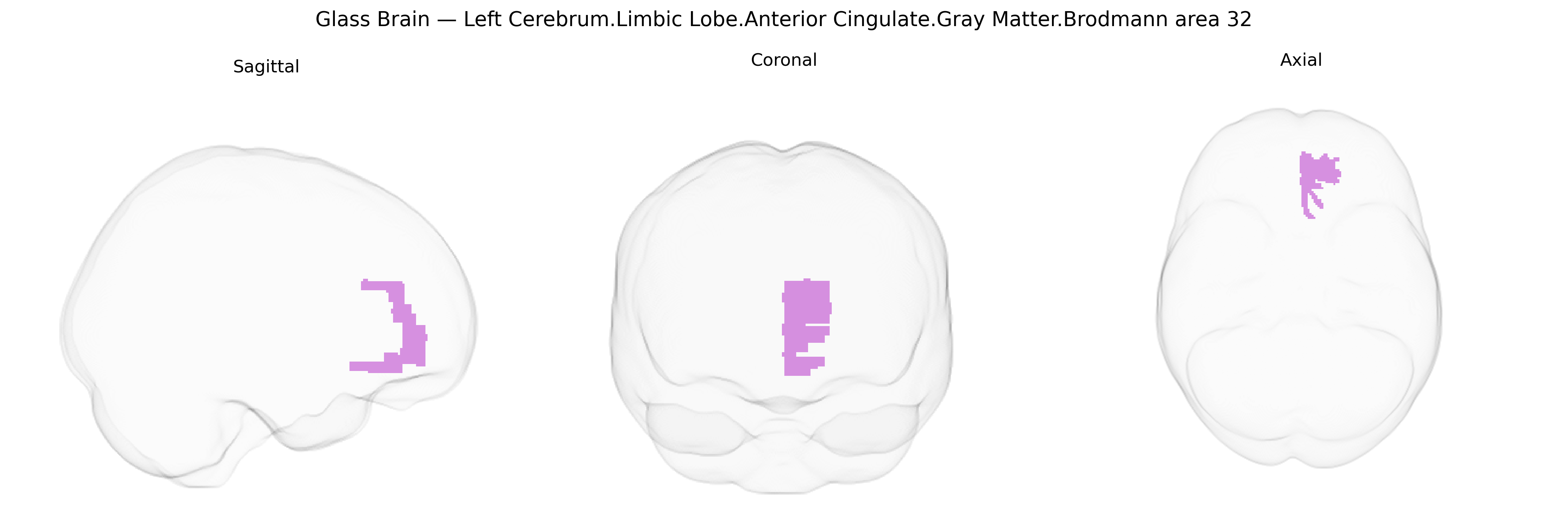 Triplanar Ghost Brain