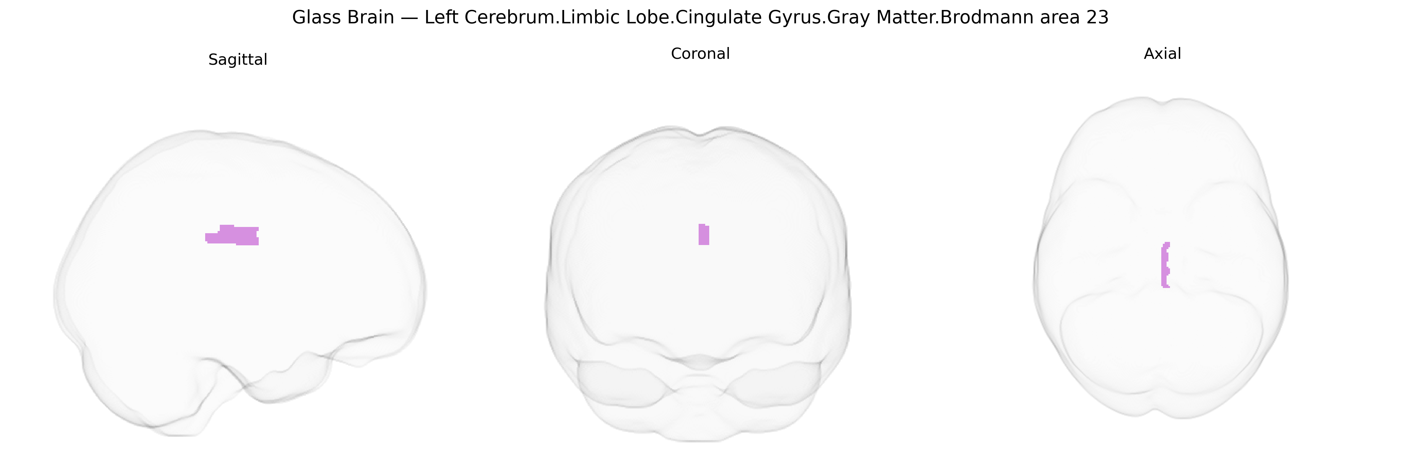 Triplanar Ghost Brain