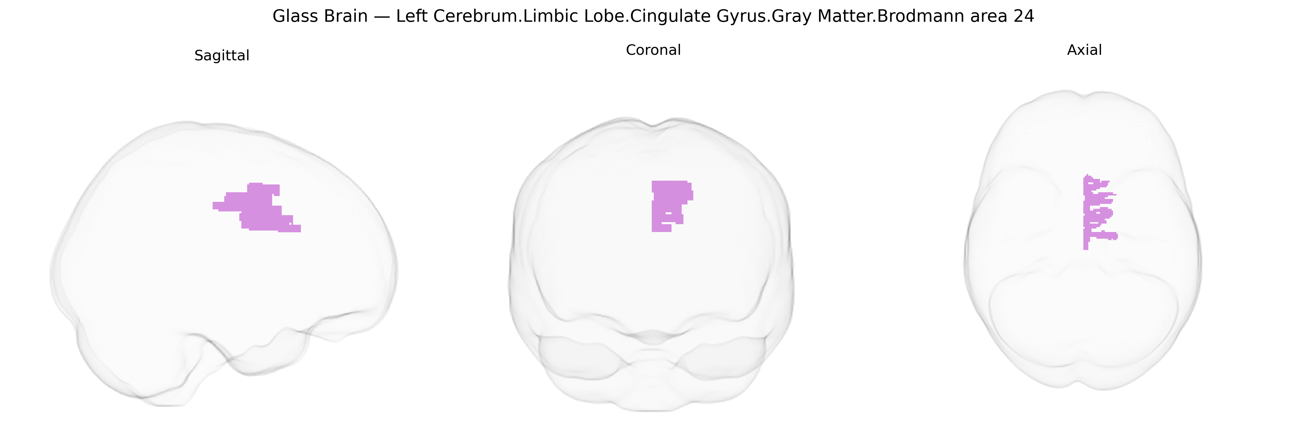Triplanar Ghost Brain