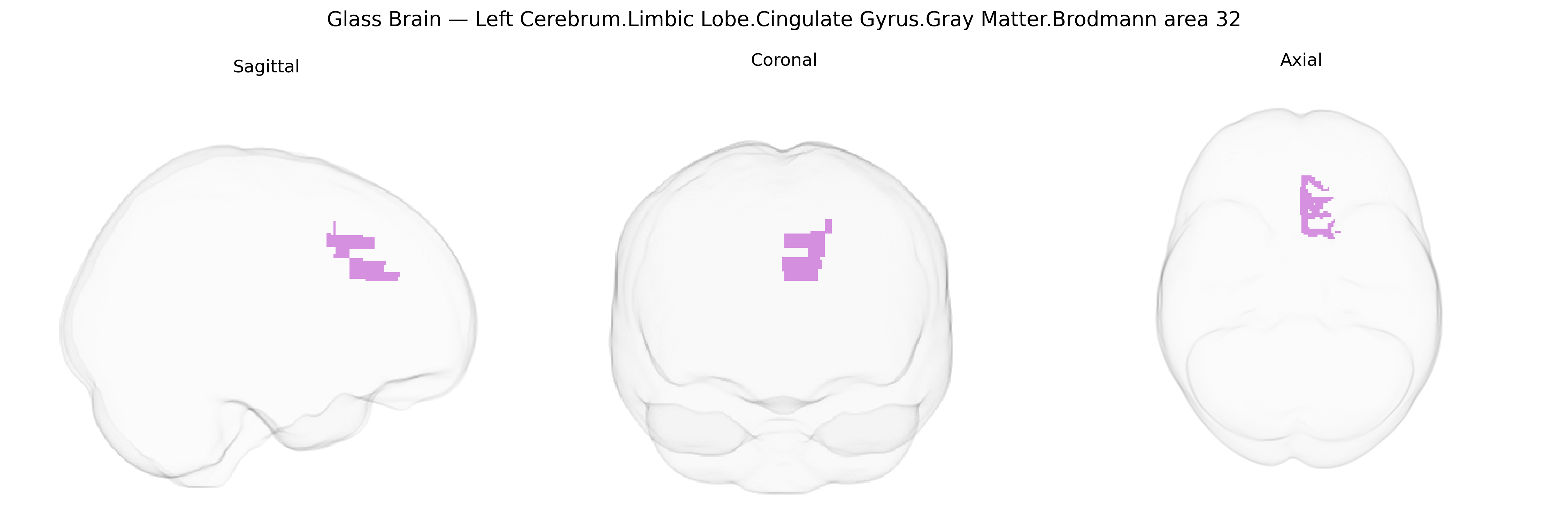 Triplanar Ghost Brain