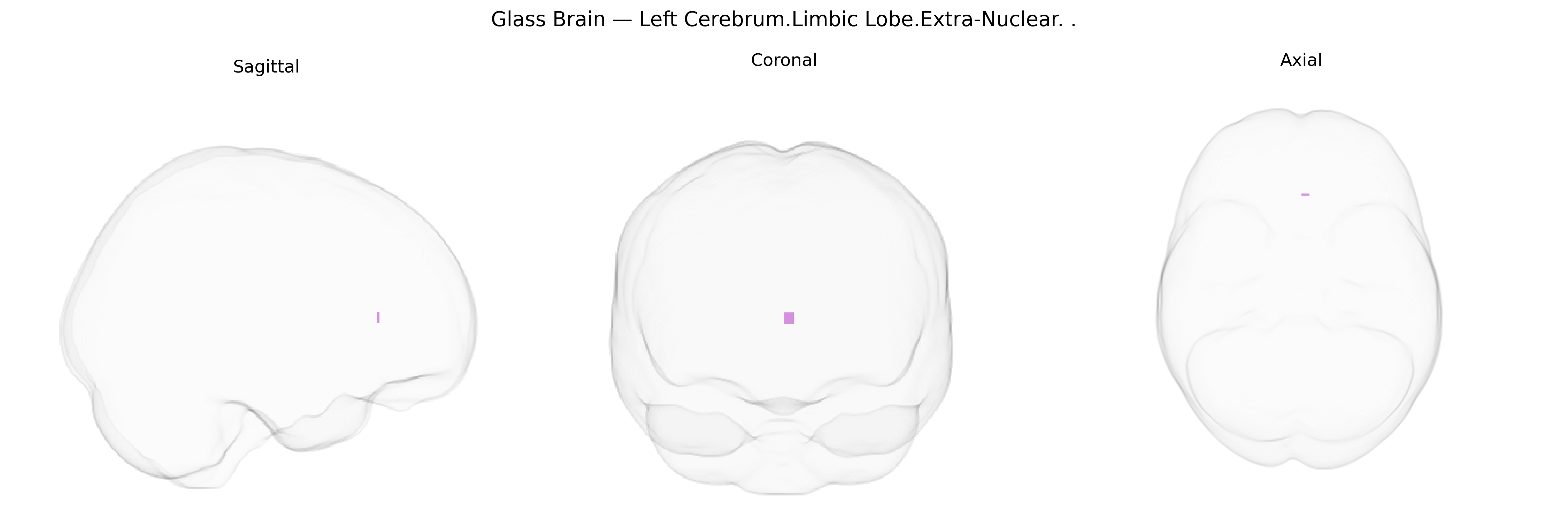 Triplanar Ghost Brain