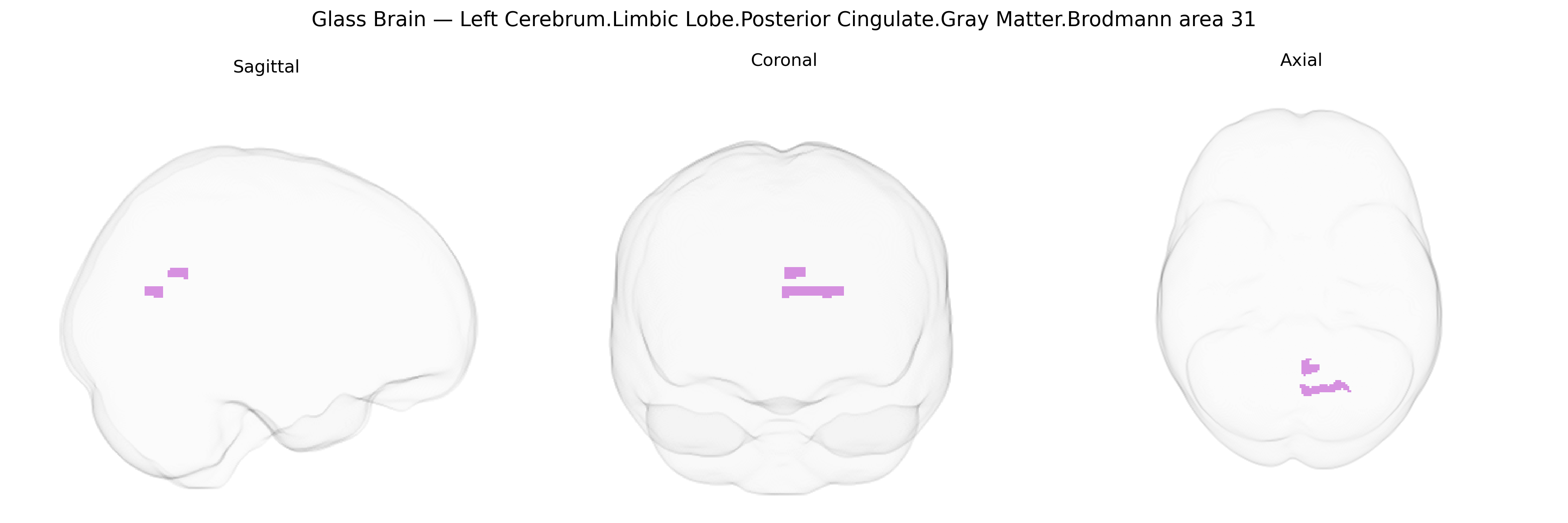 Triplanar Ghost Brain