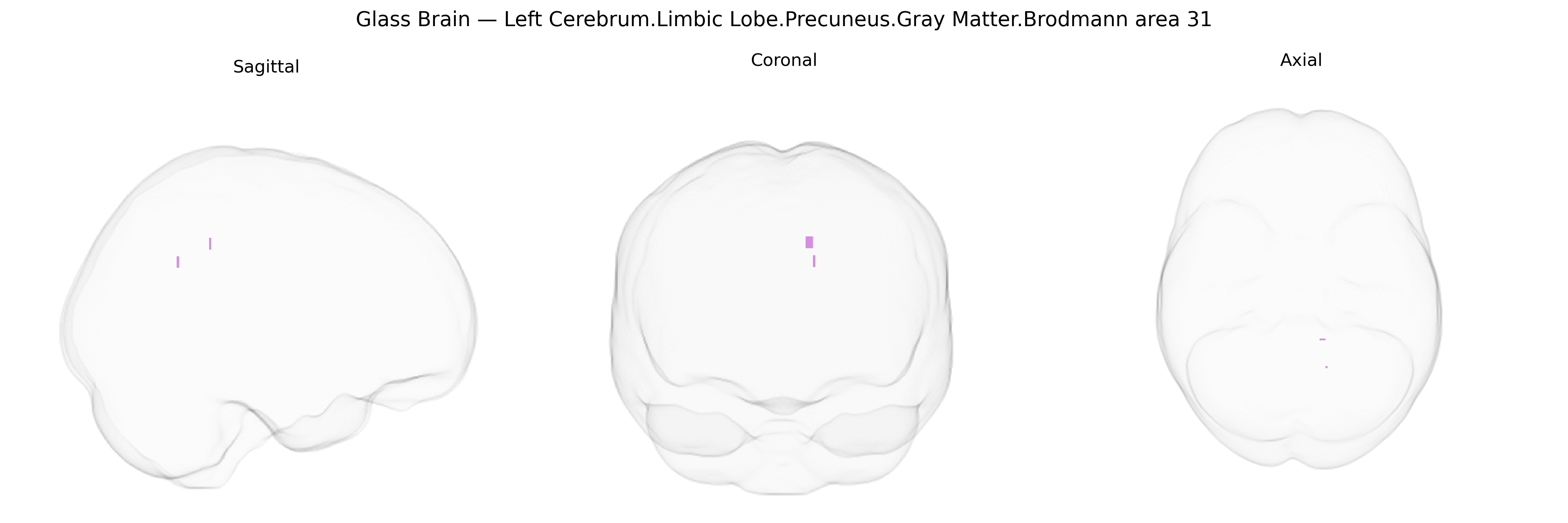 Triplanar Ghost Brain