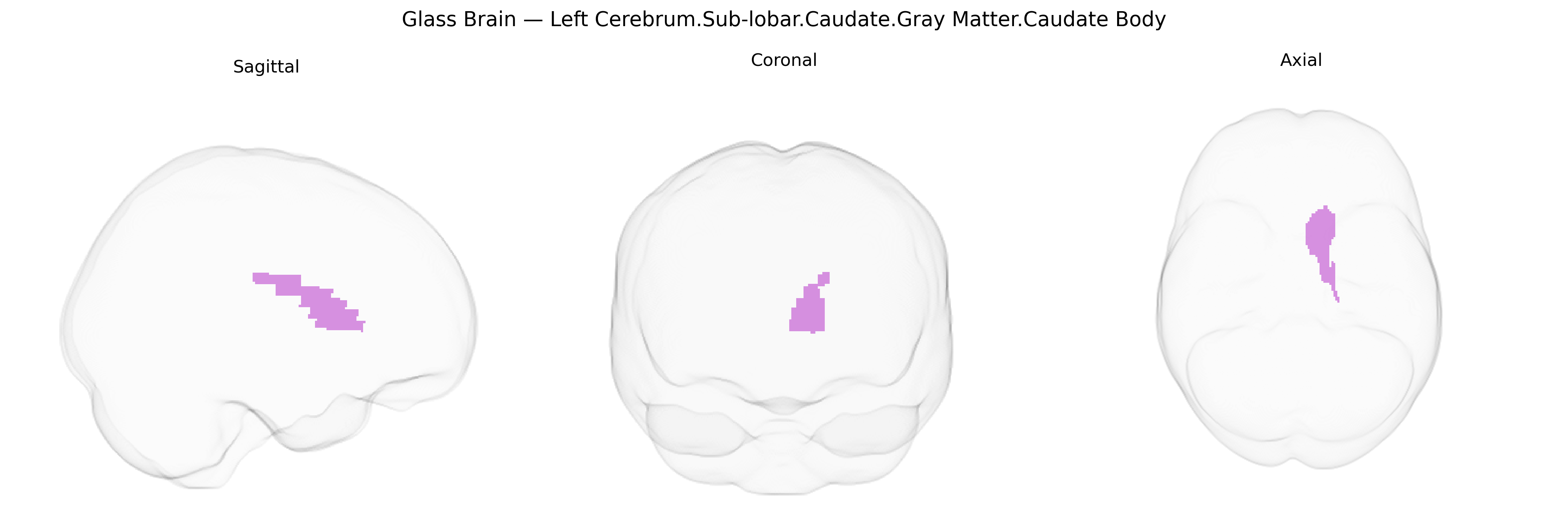 Triplanar Ghost Brain