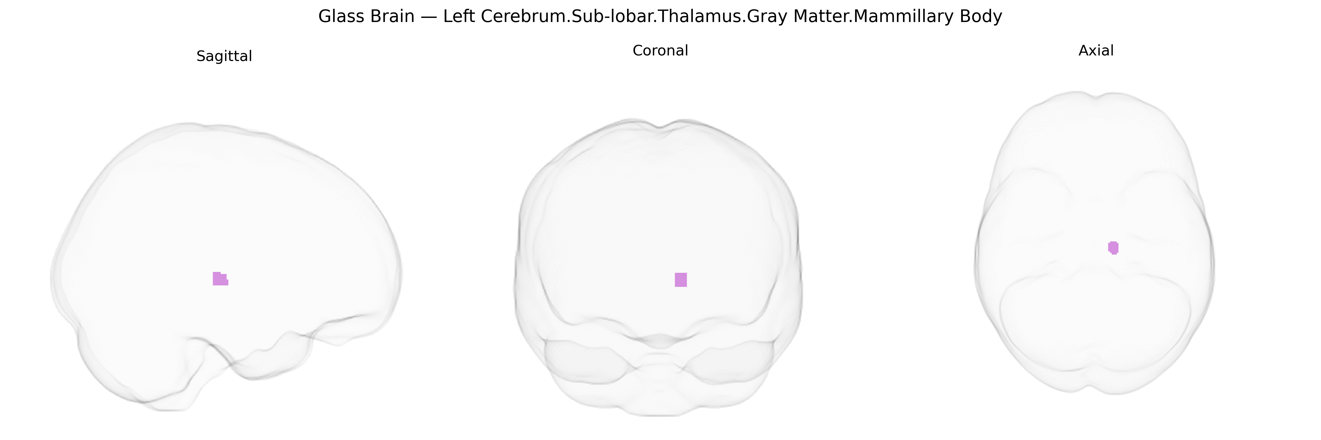 Triplanar Ghost Brain