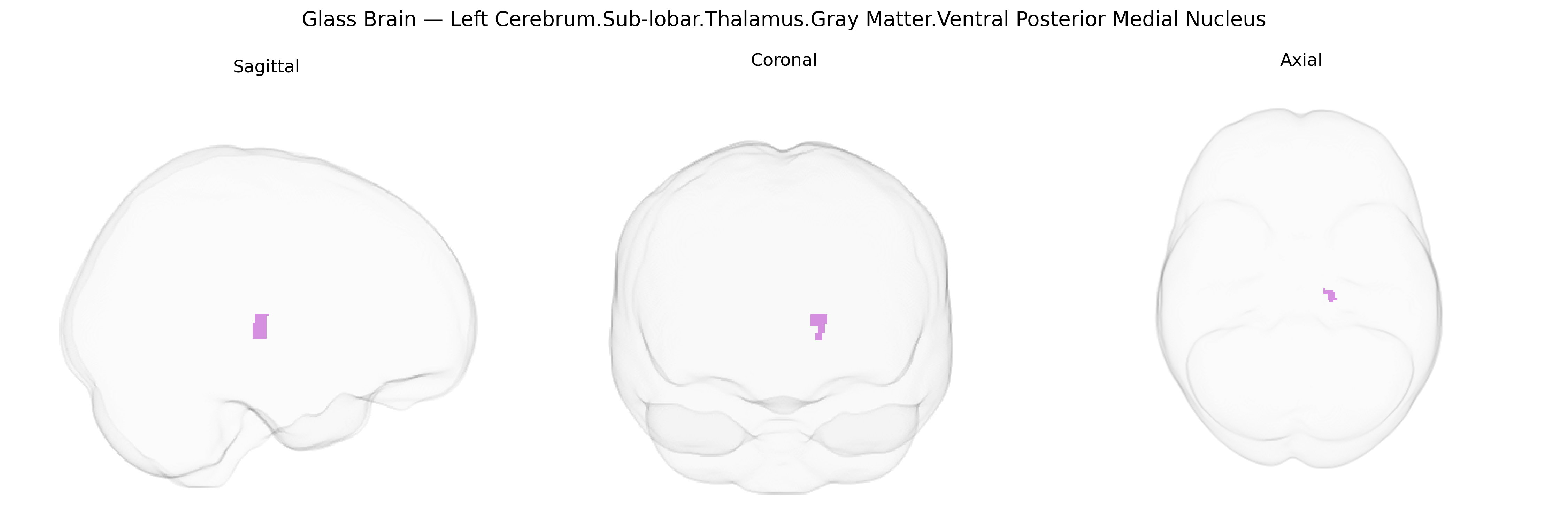 Triplanar Ghost Brain