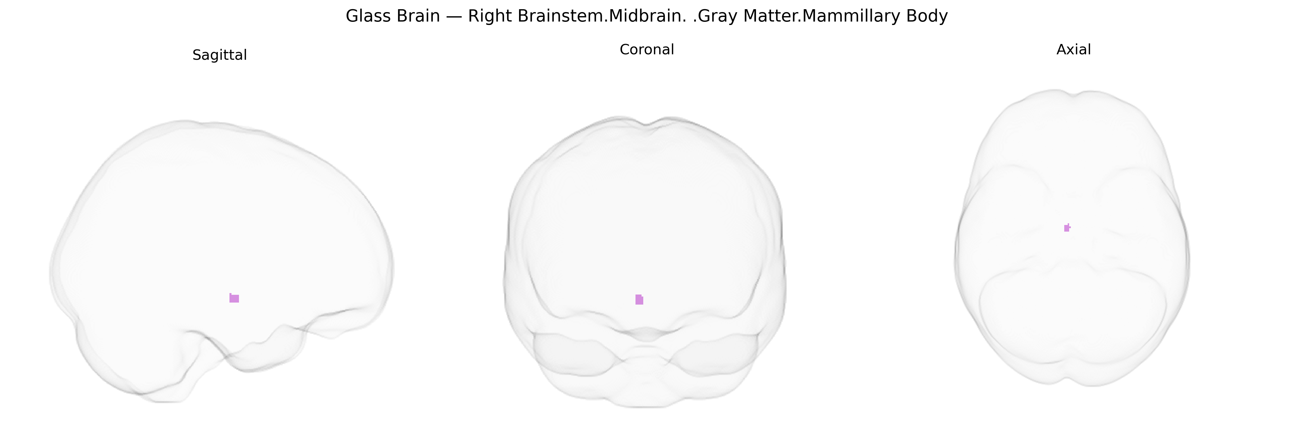 Triplanar Ghost Brain