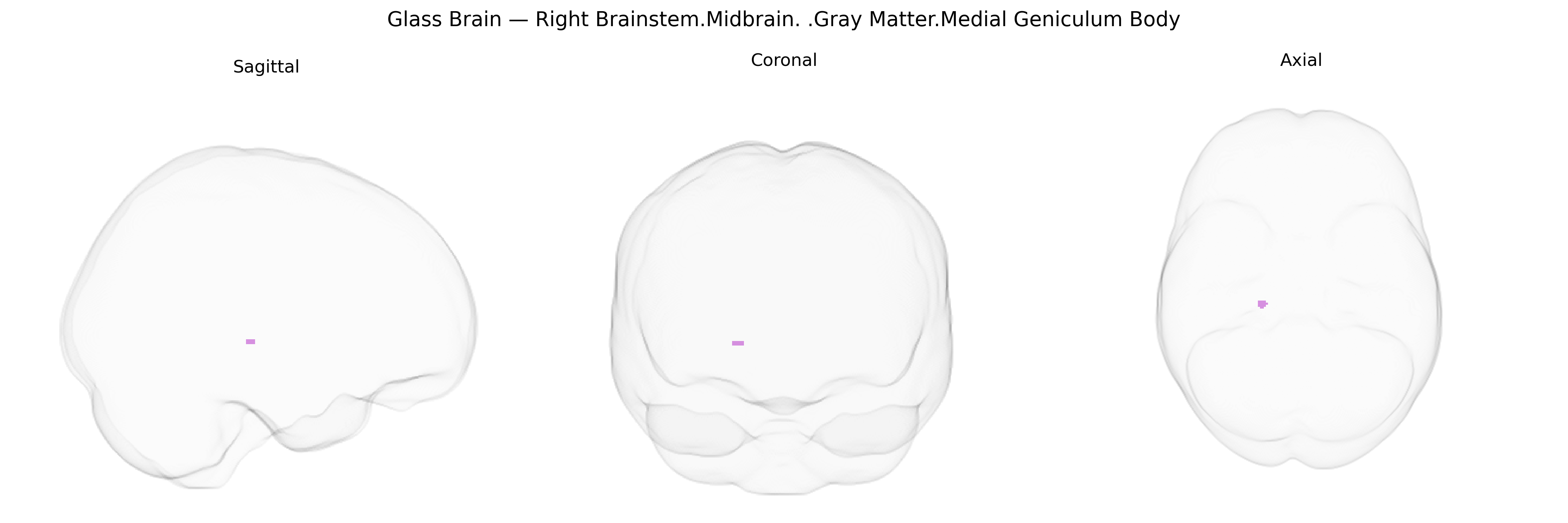 Triplanar Ghost Brain