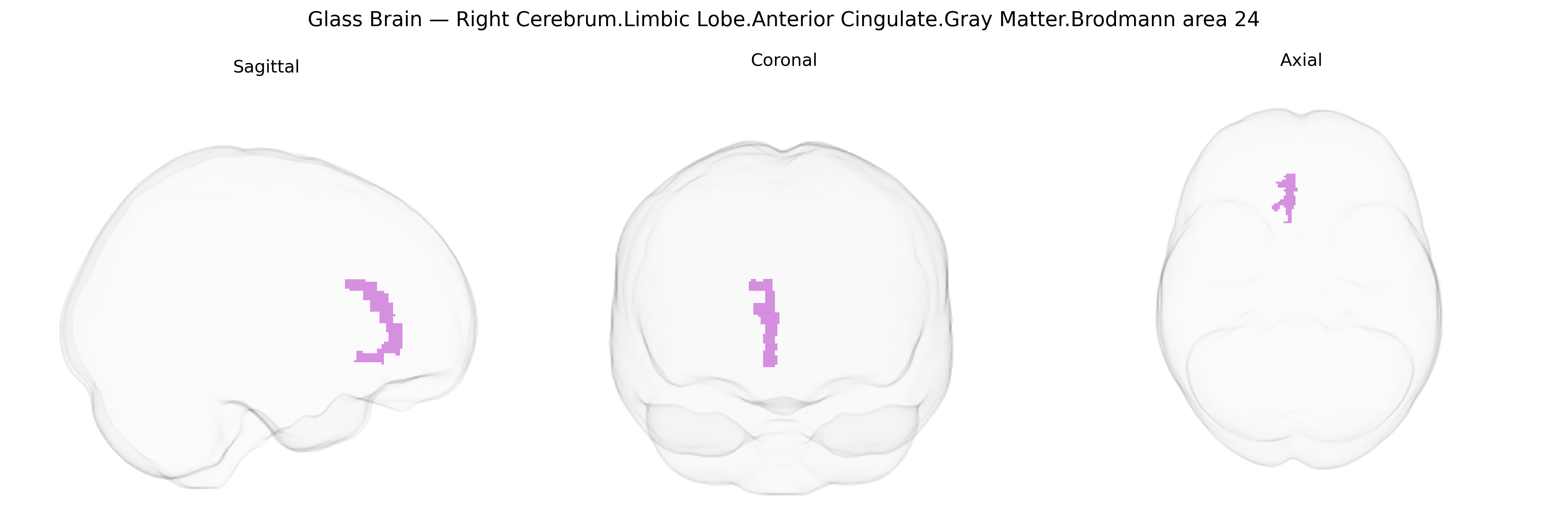 Triplanar Ghost Brain