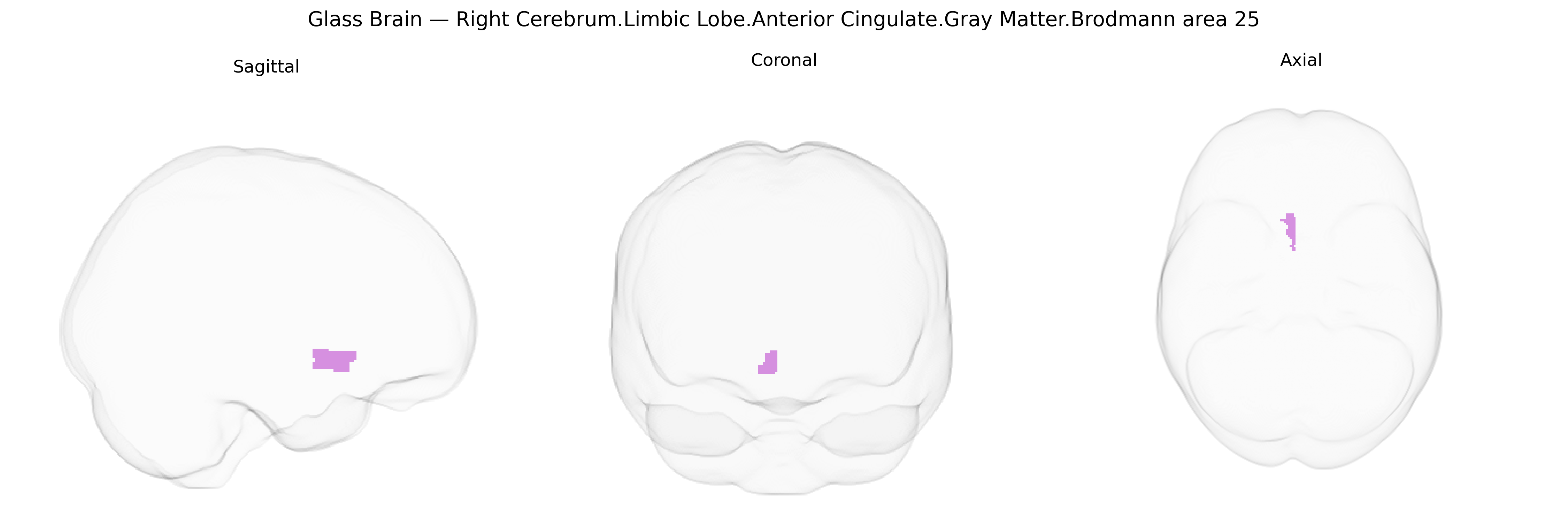 Triplanar Ghost Brain