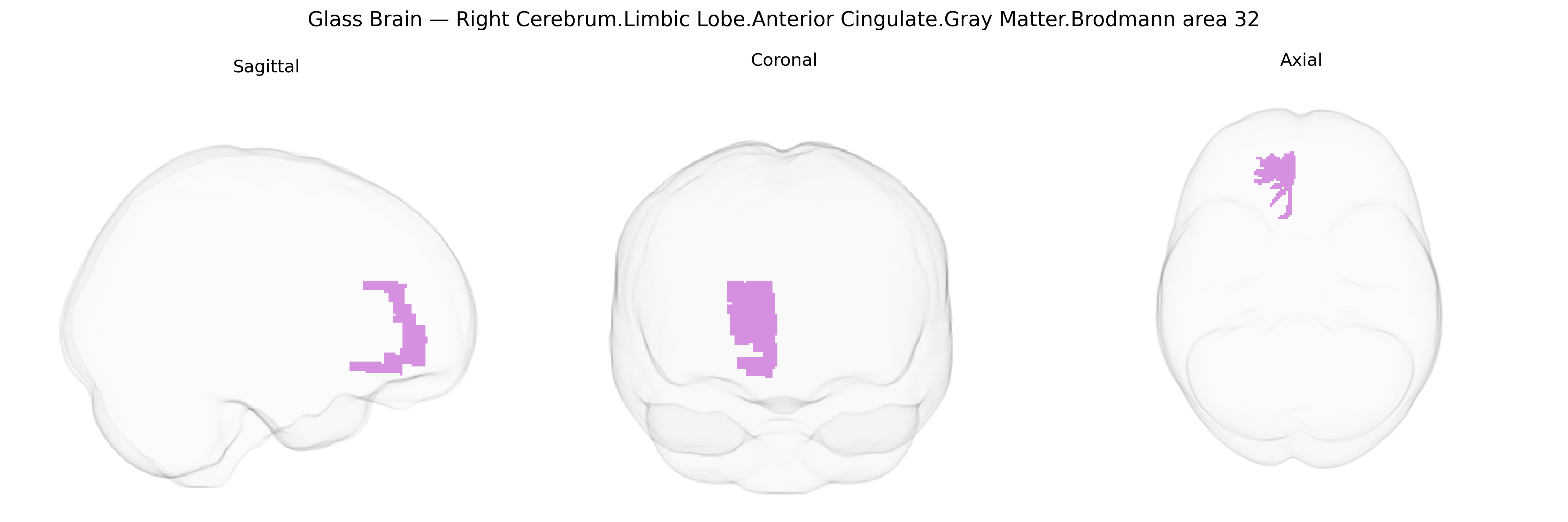 Triplanar Ghost Brain