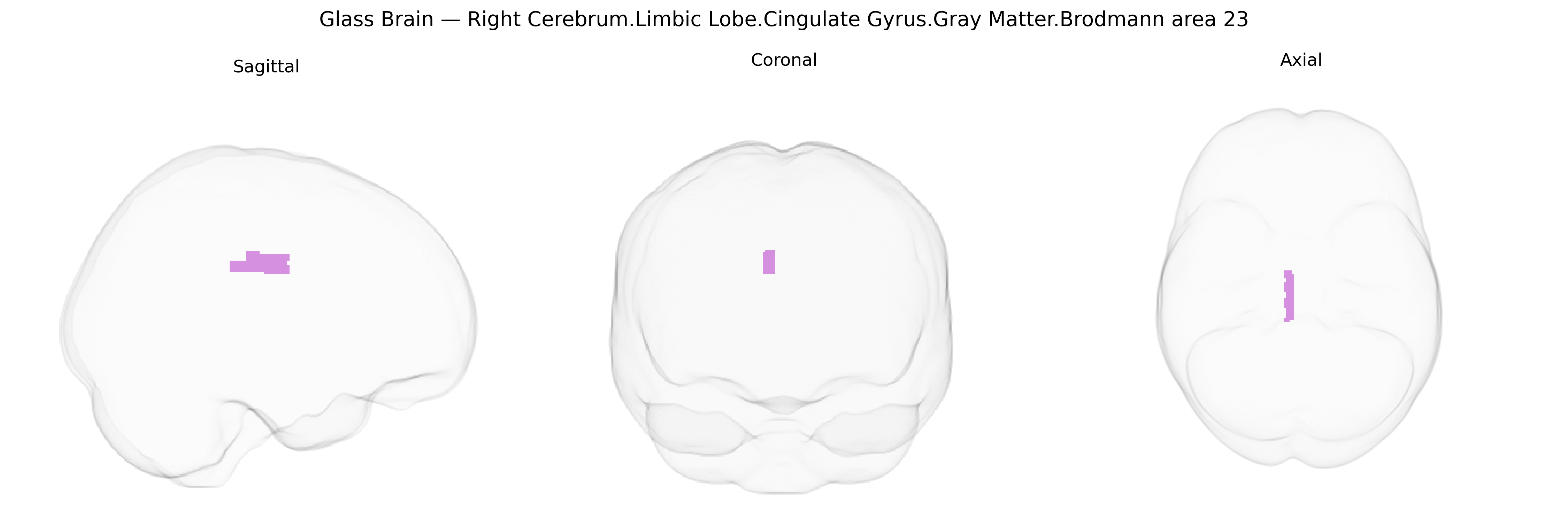 Triplanar Ghost Brain