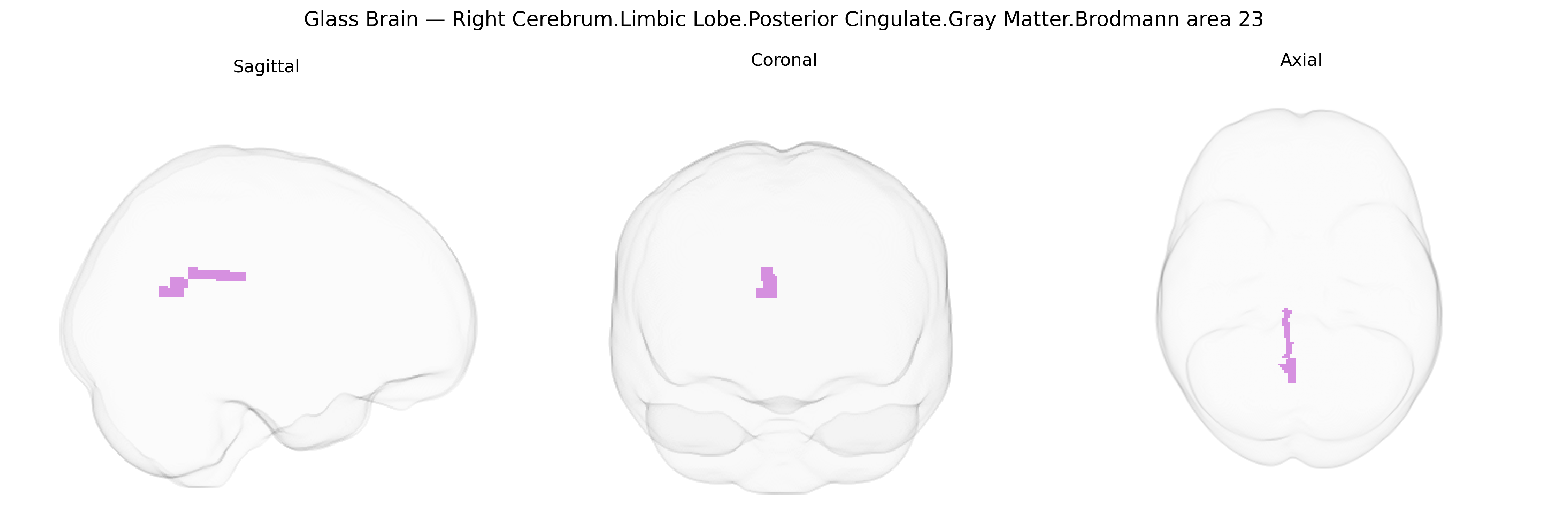 Triplanar Ghost Brain