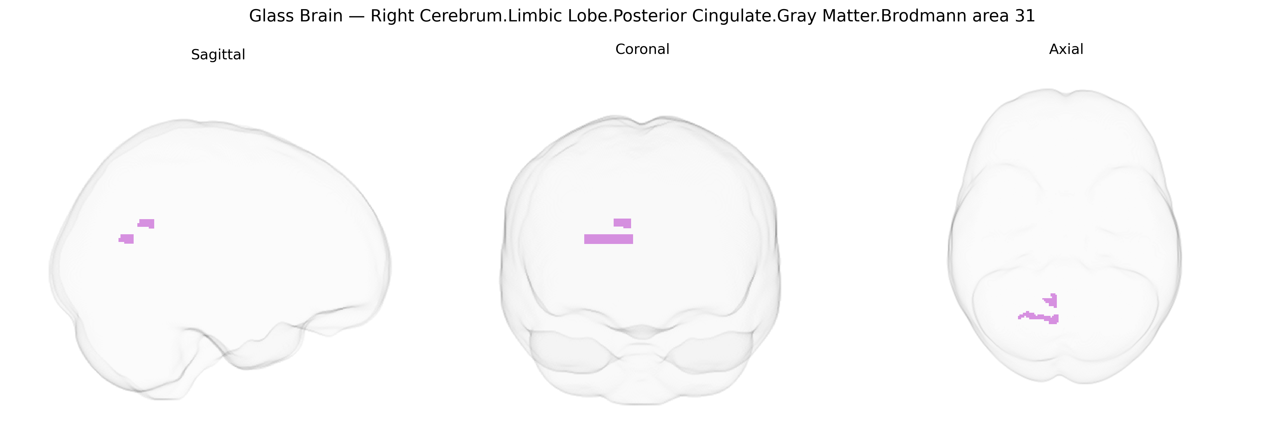 Triplanar Ghost Brain