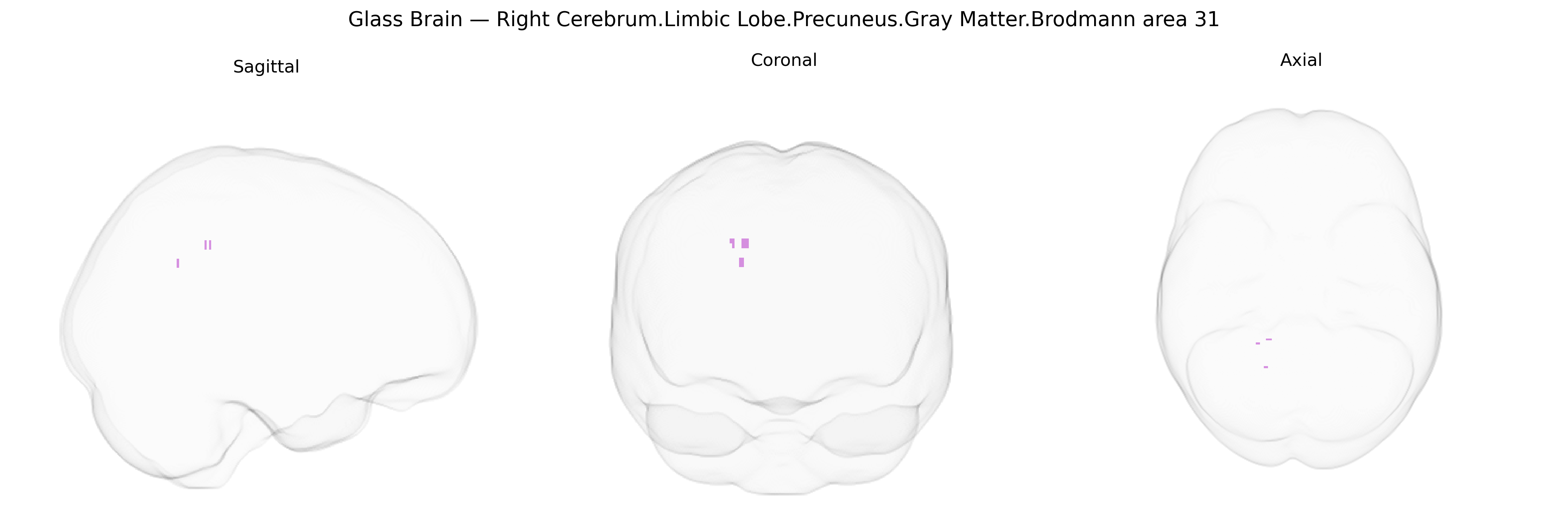 Triplanar Ghost Brain