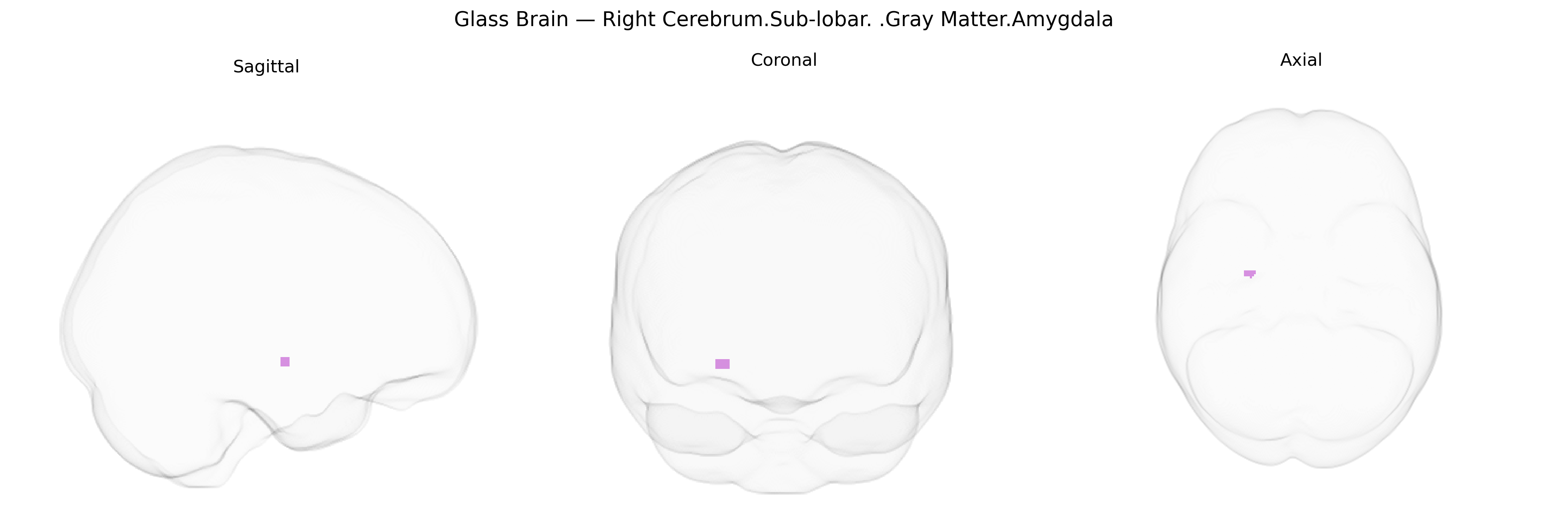 Triplanar Ghost Brain