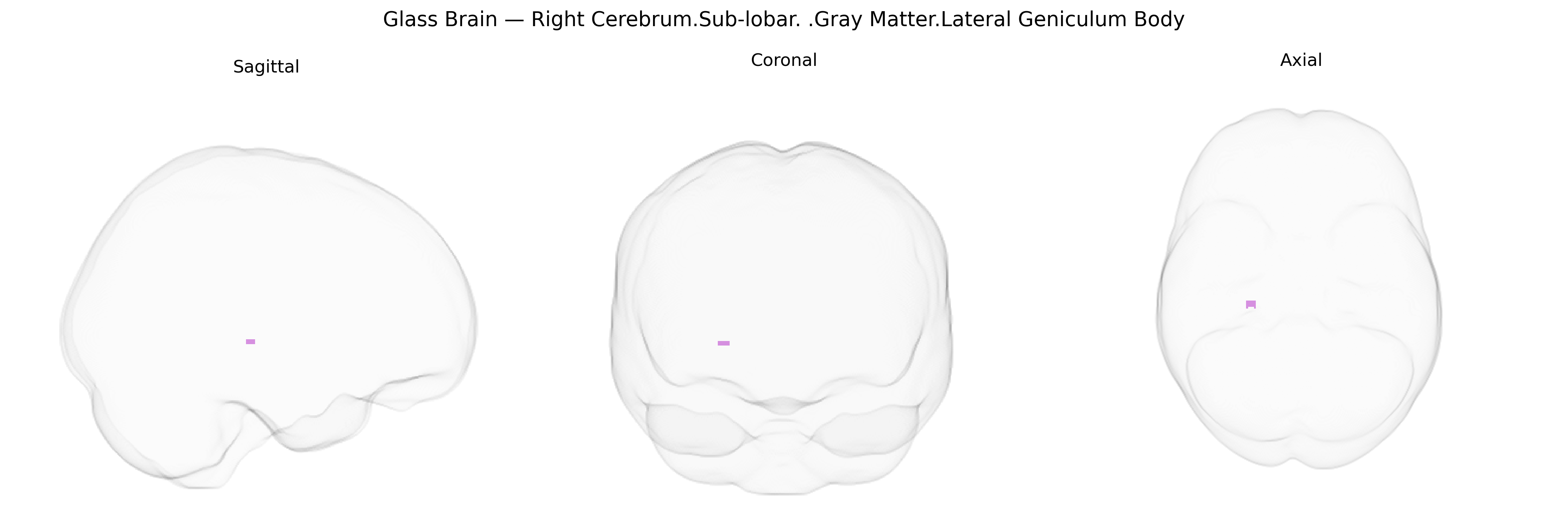 Triplanar Ghost Brain