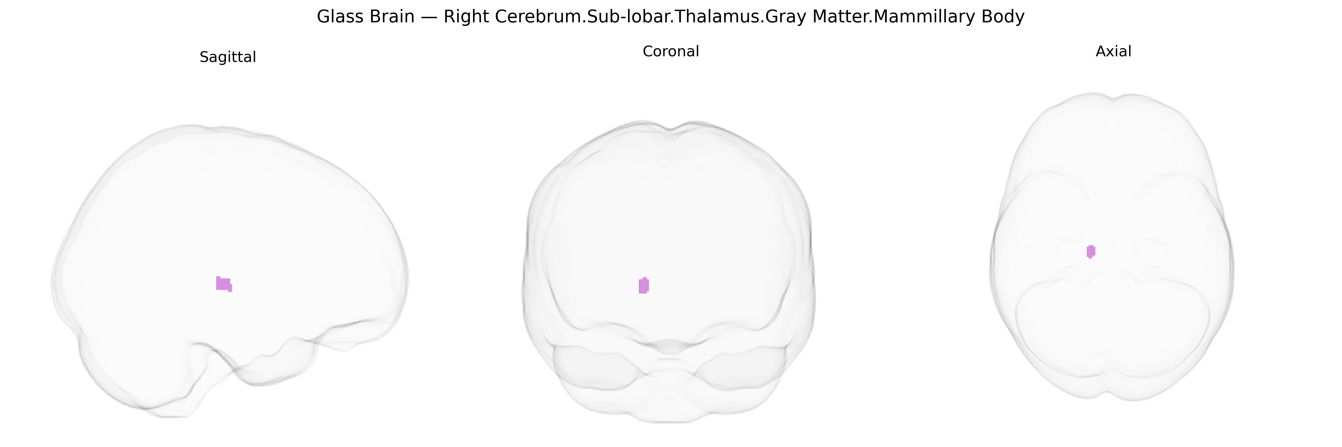 Triplanar Ghost Brain