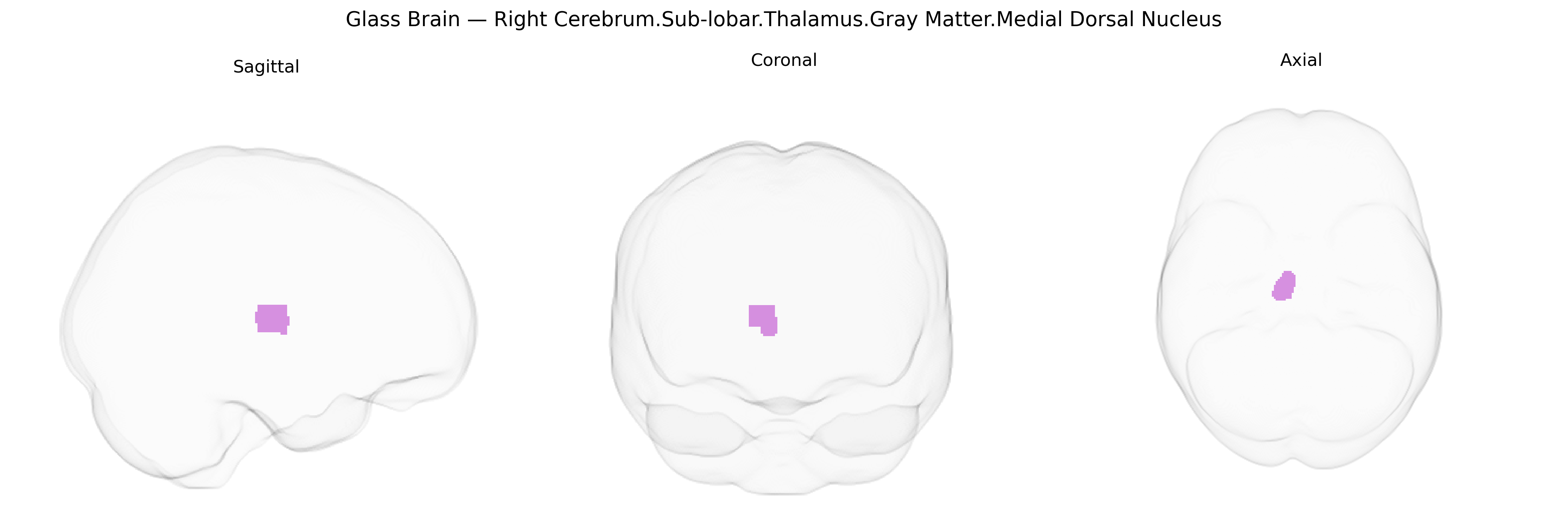 Triplanar Ghost Brain