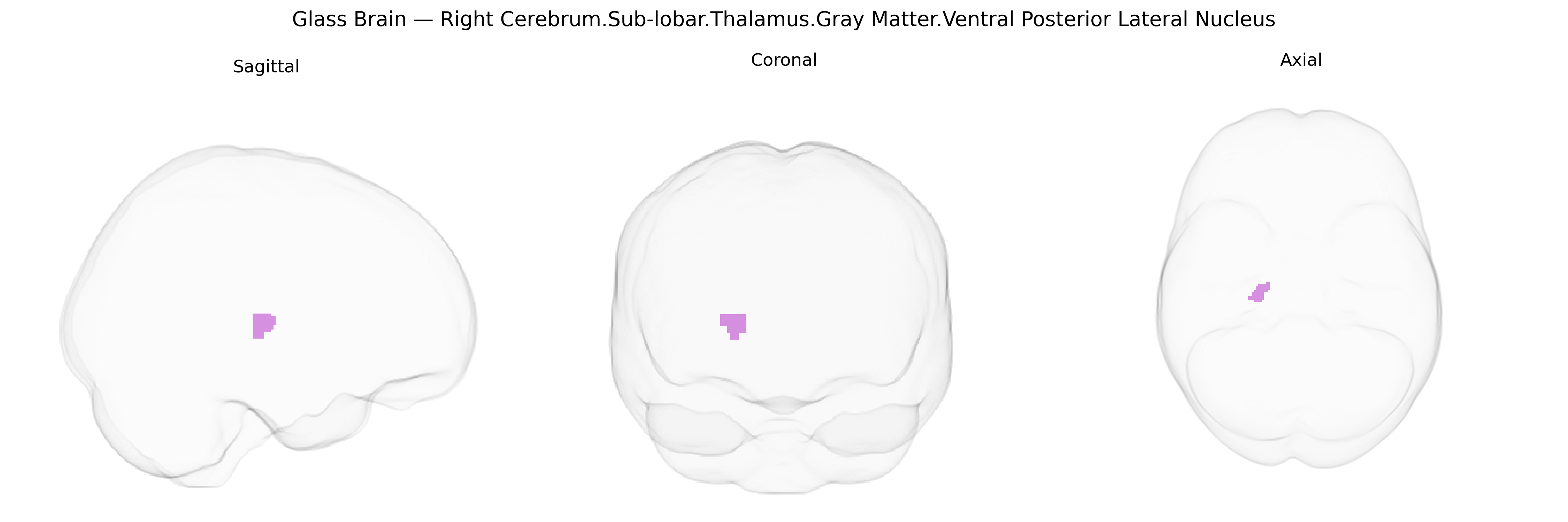 Triplanar Ghost Brain
