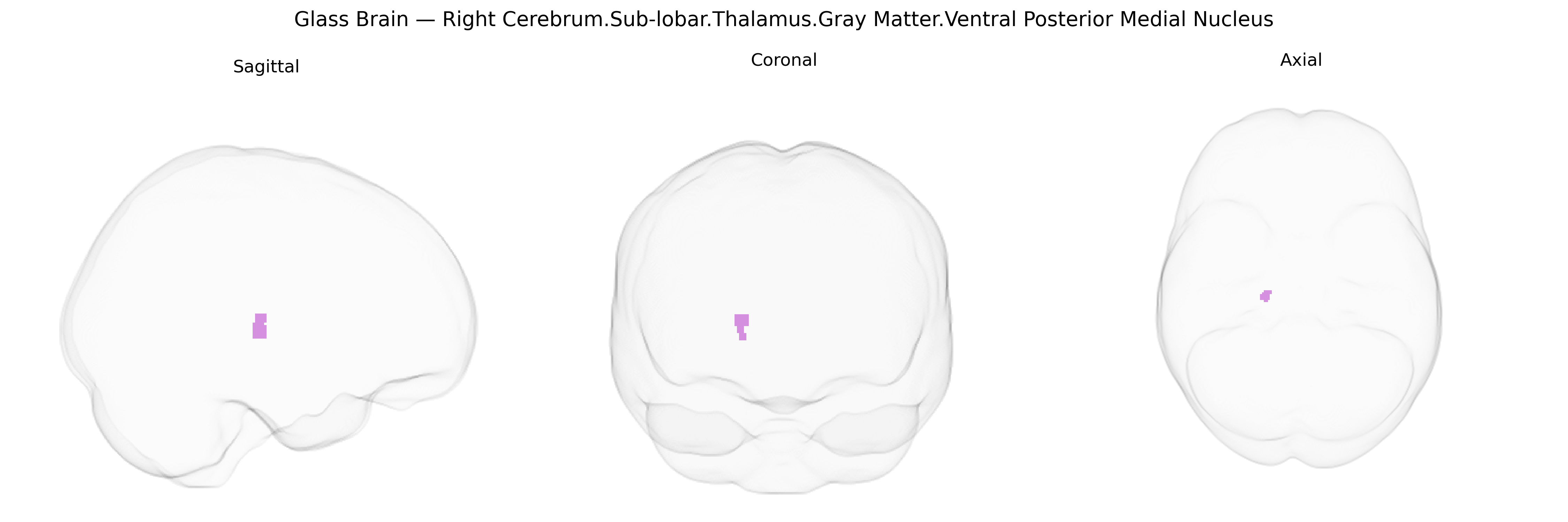 Triplanar Ghost Brain