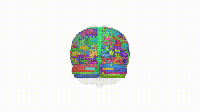 Rotating Brain