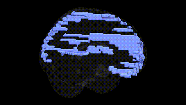 Full Brain Black