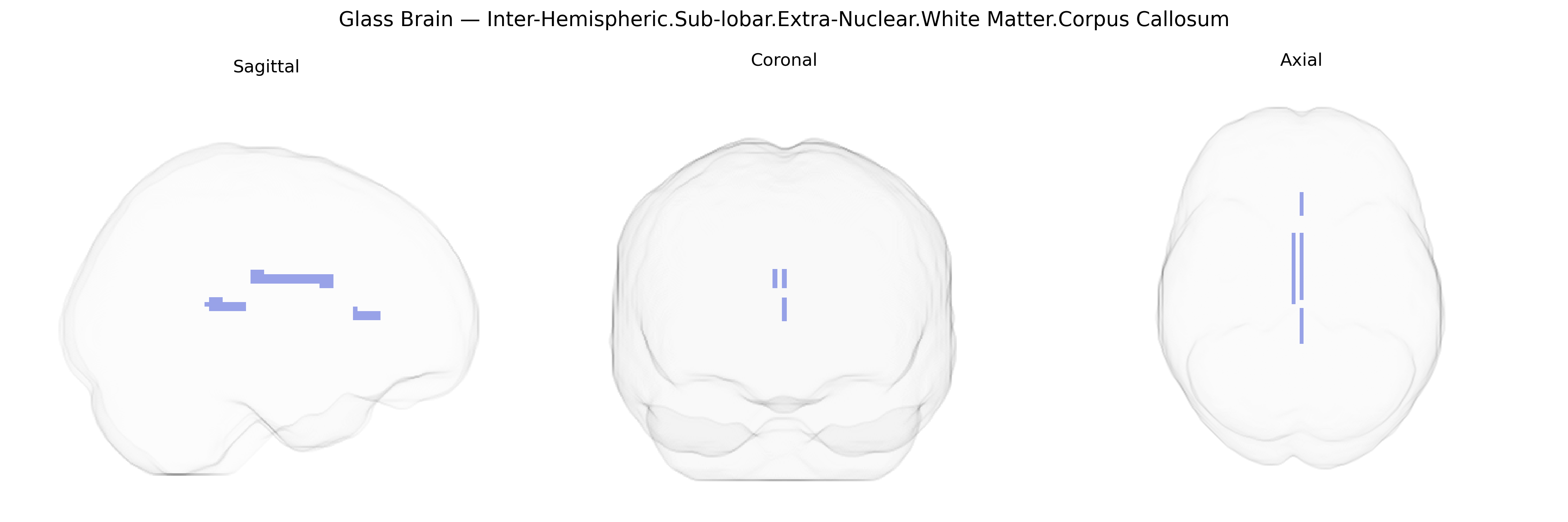Triplanar Ghost Brain