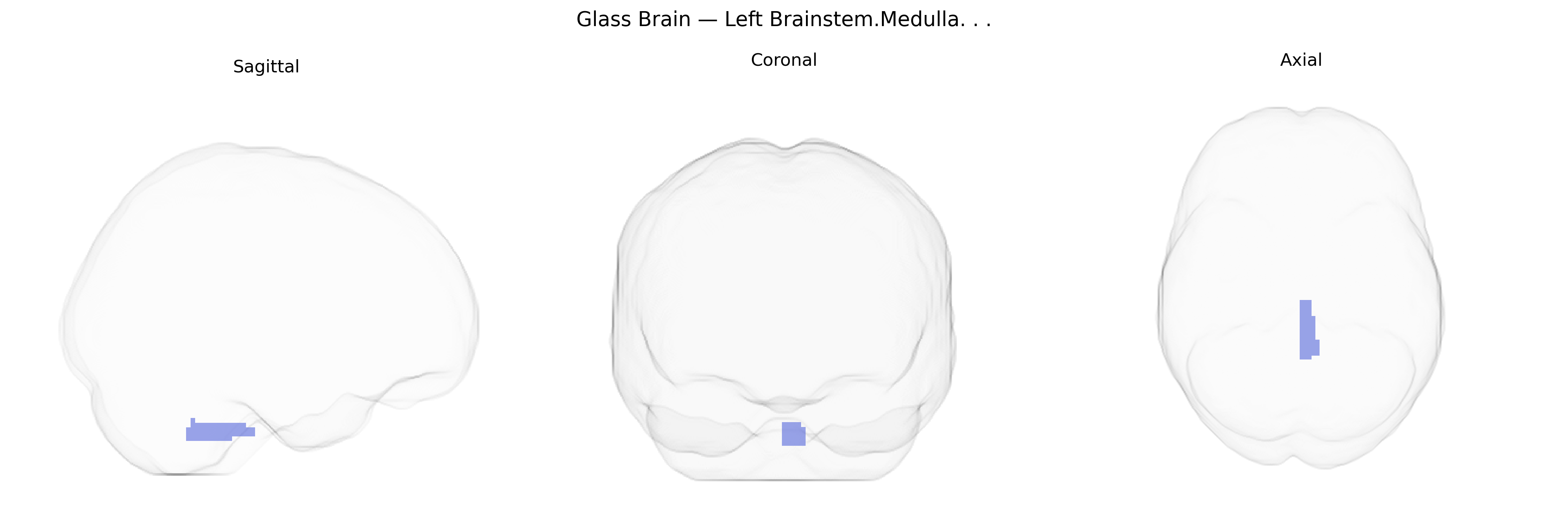 Triplanar Ghost Brain