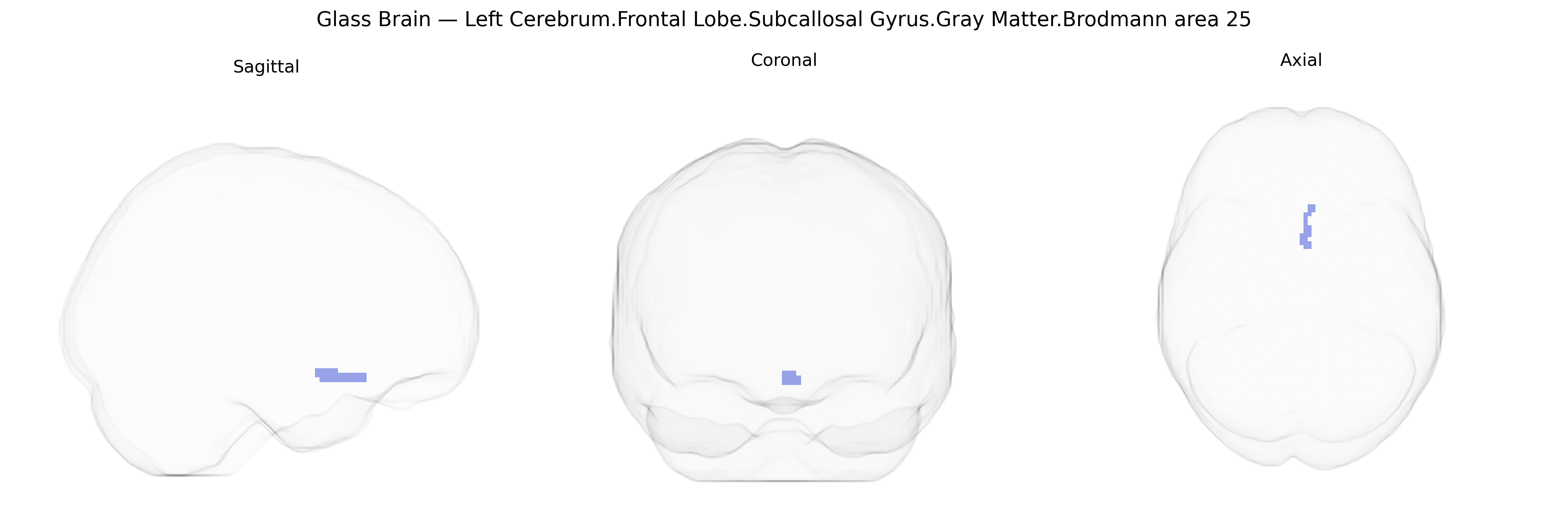 Triplanar Ghost Brain