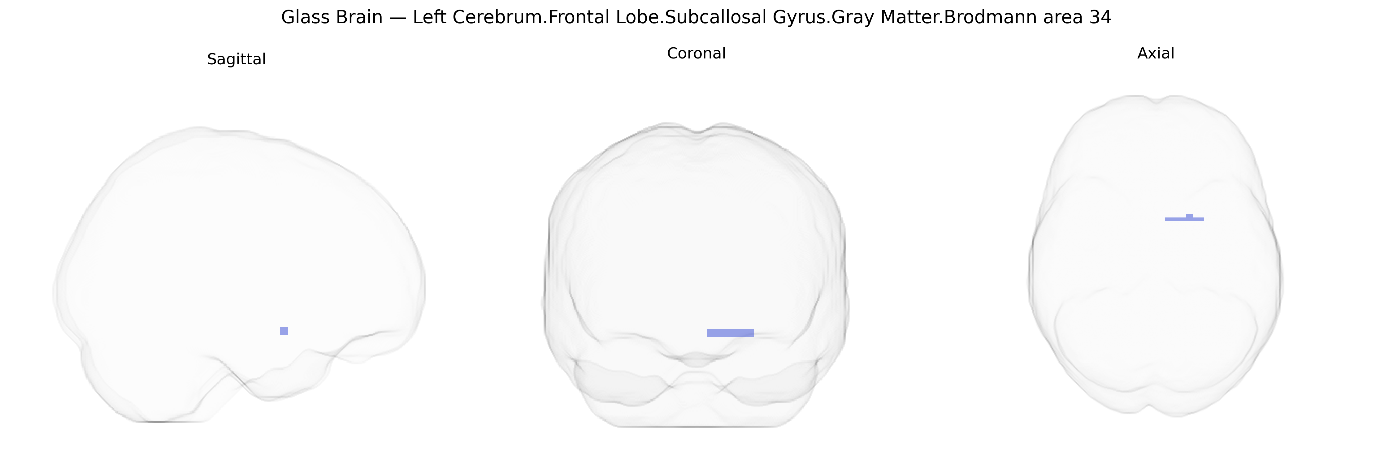 Triplanar Ghost Brain