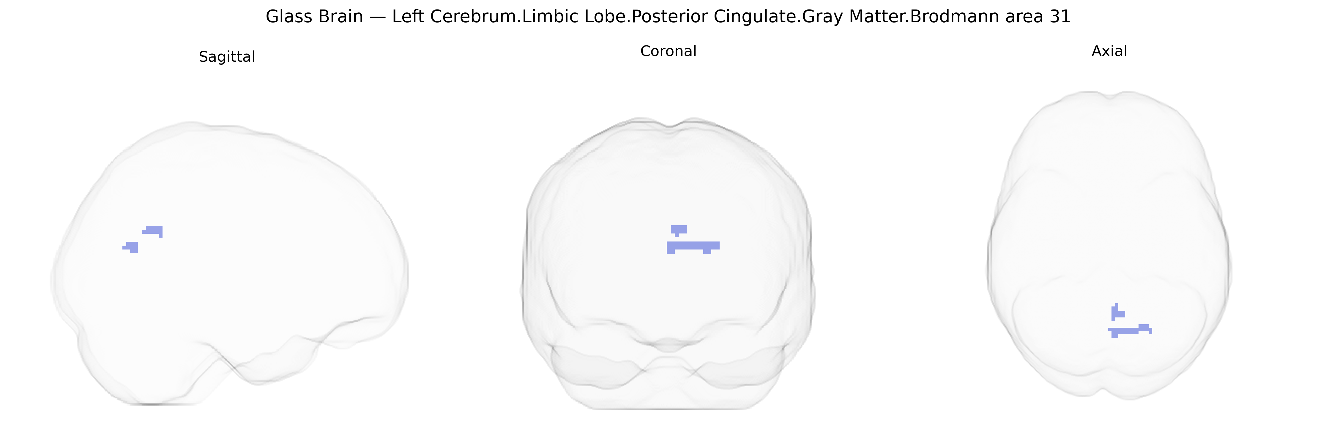 Triplanar Ghost Brain
