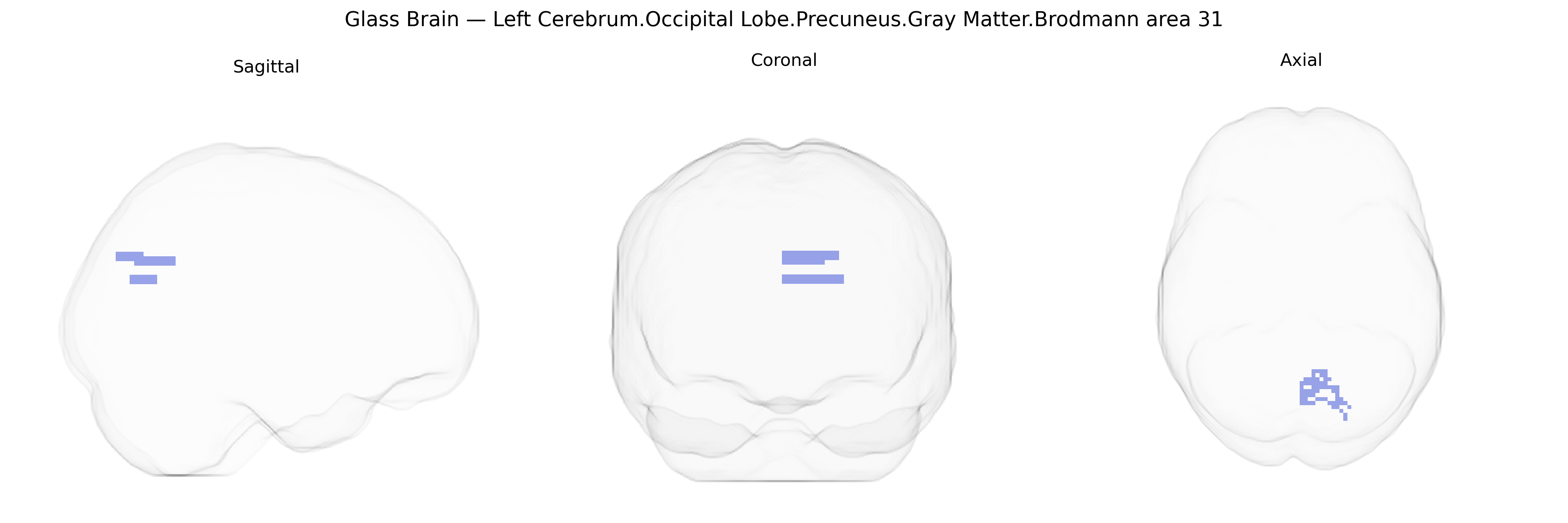 Triplanar Ghost Brain