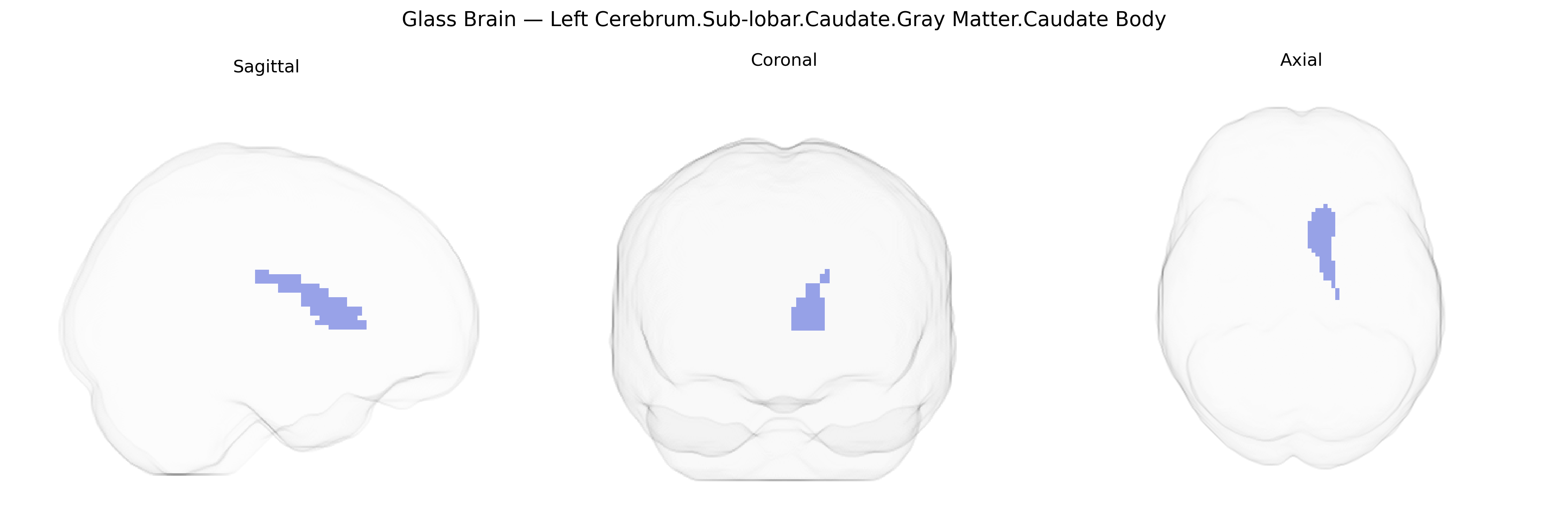 Triplanar Ghost Brain