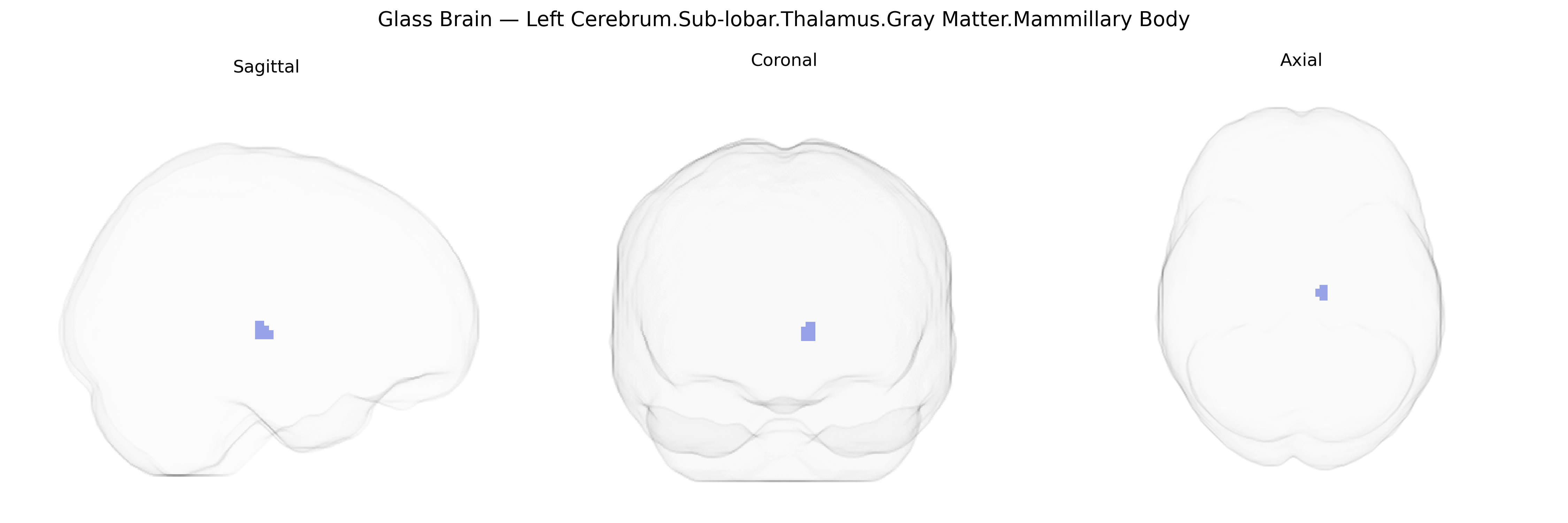 Triplanar Ghost Brain