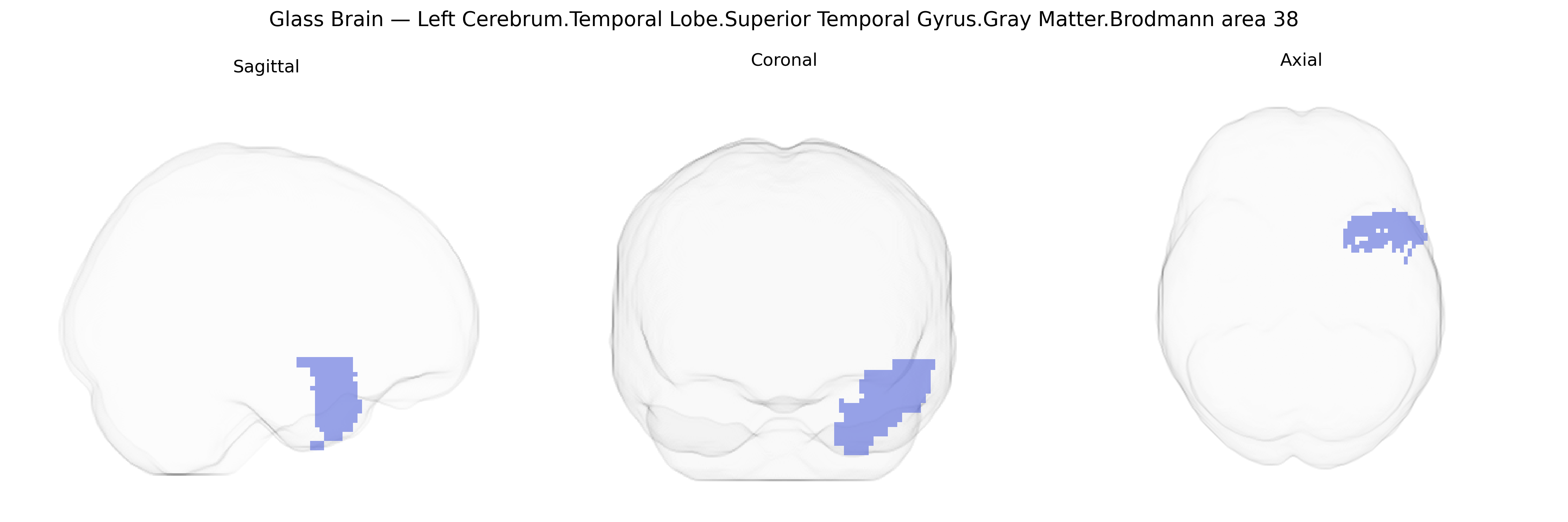 Triplanar Ghost Brain