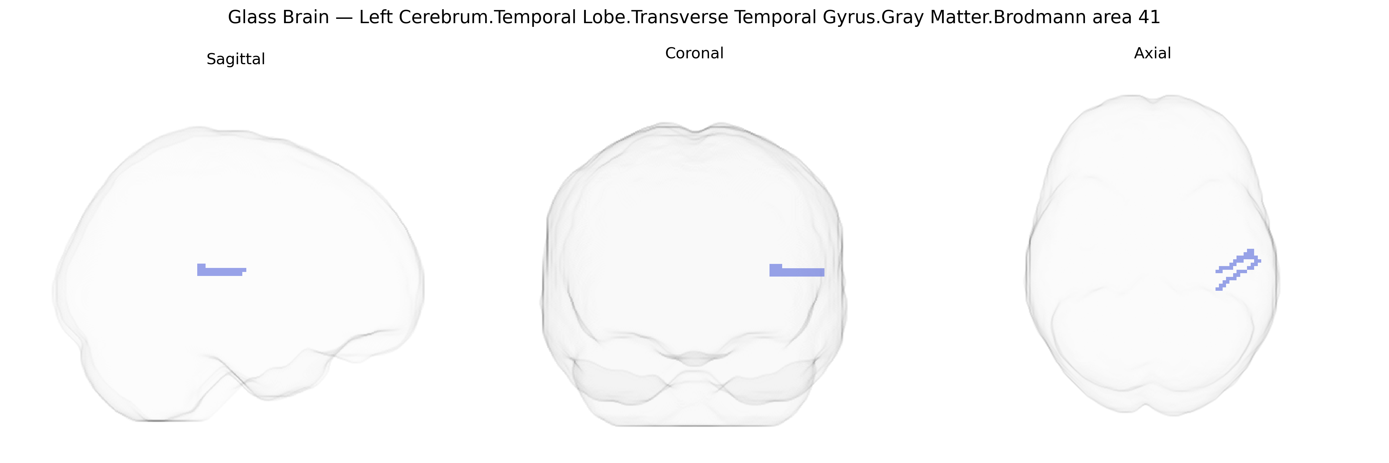 Triplanar Ghost Brain