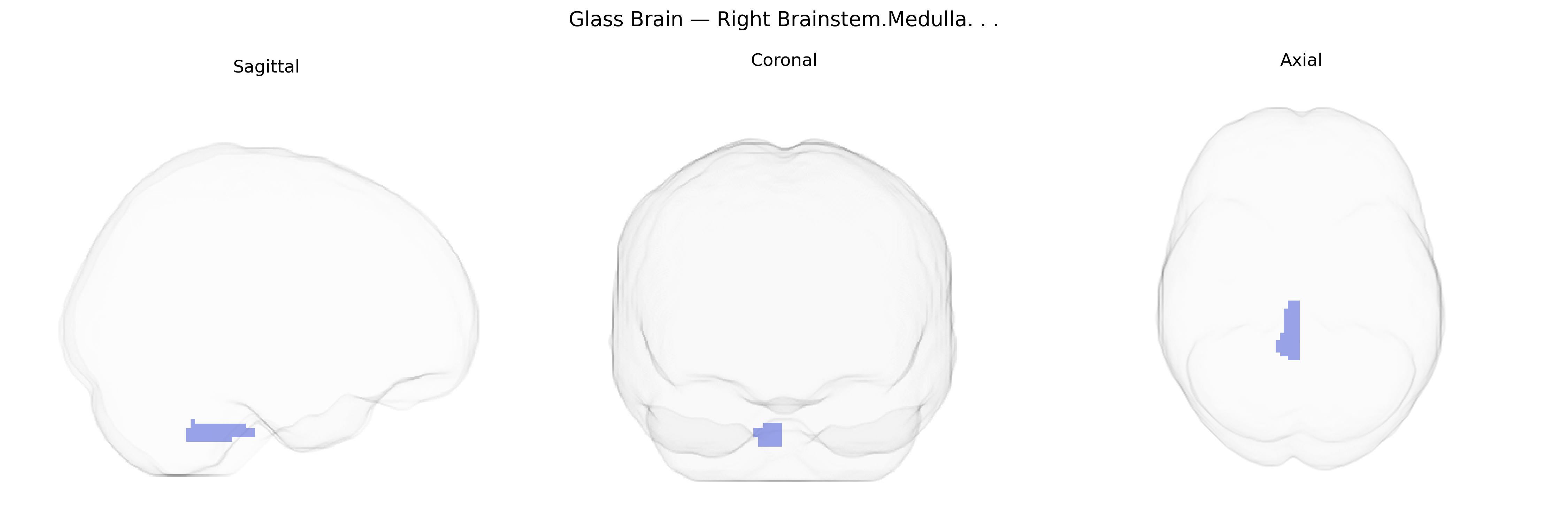 Triplanar Ghost Brain