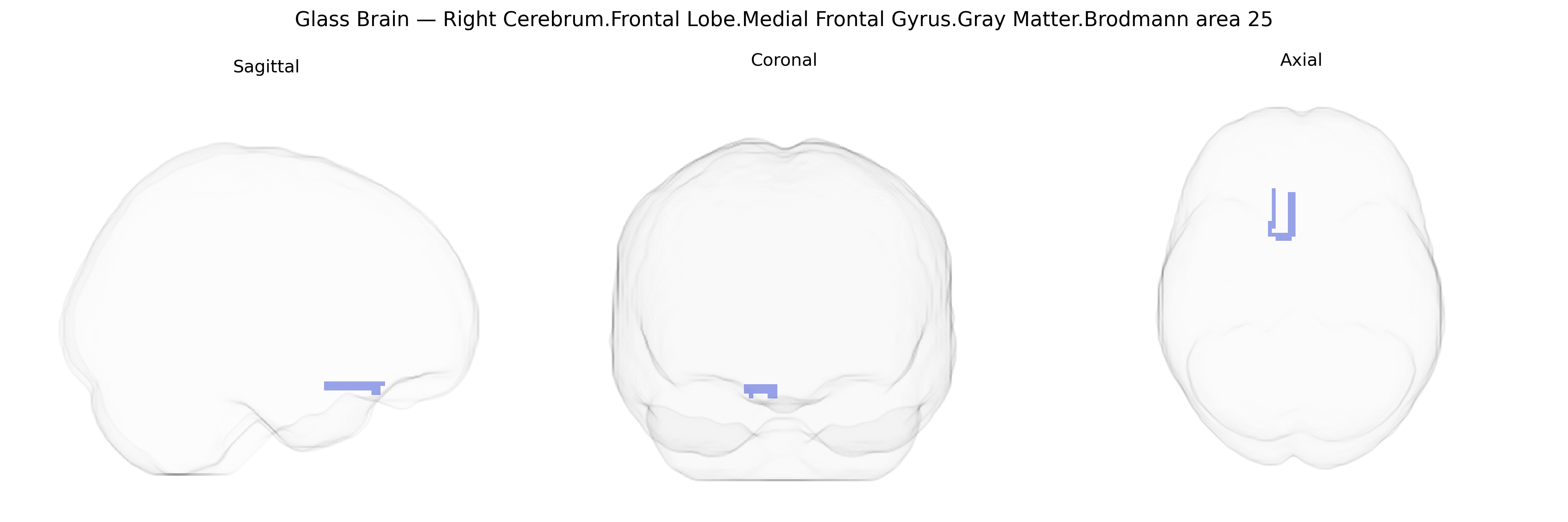 Triplanar Ghost Brain